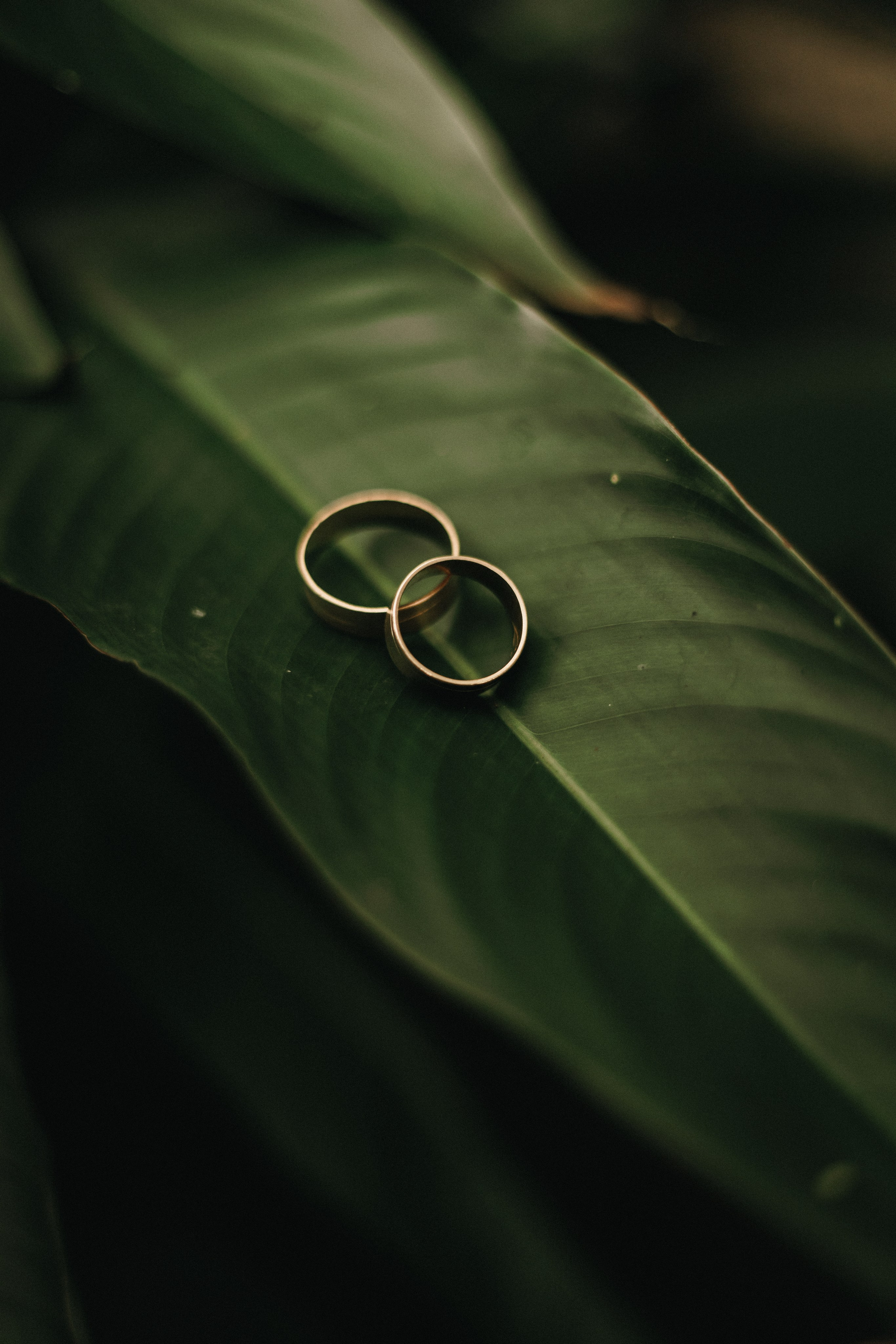 2025 | Beatriz e Lucas. Denis Damasceno | Fotografia