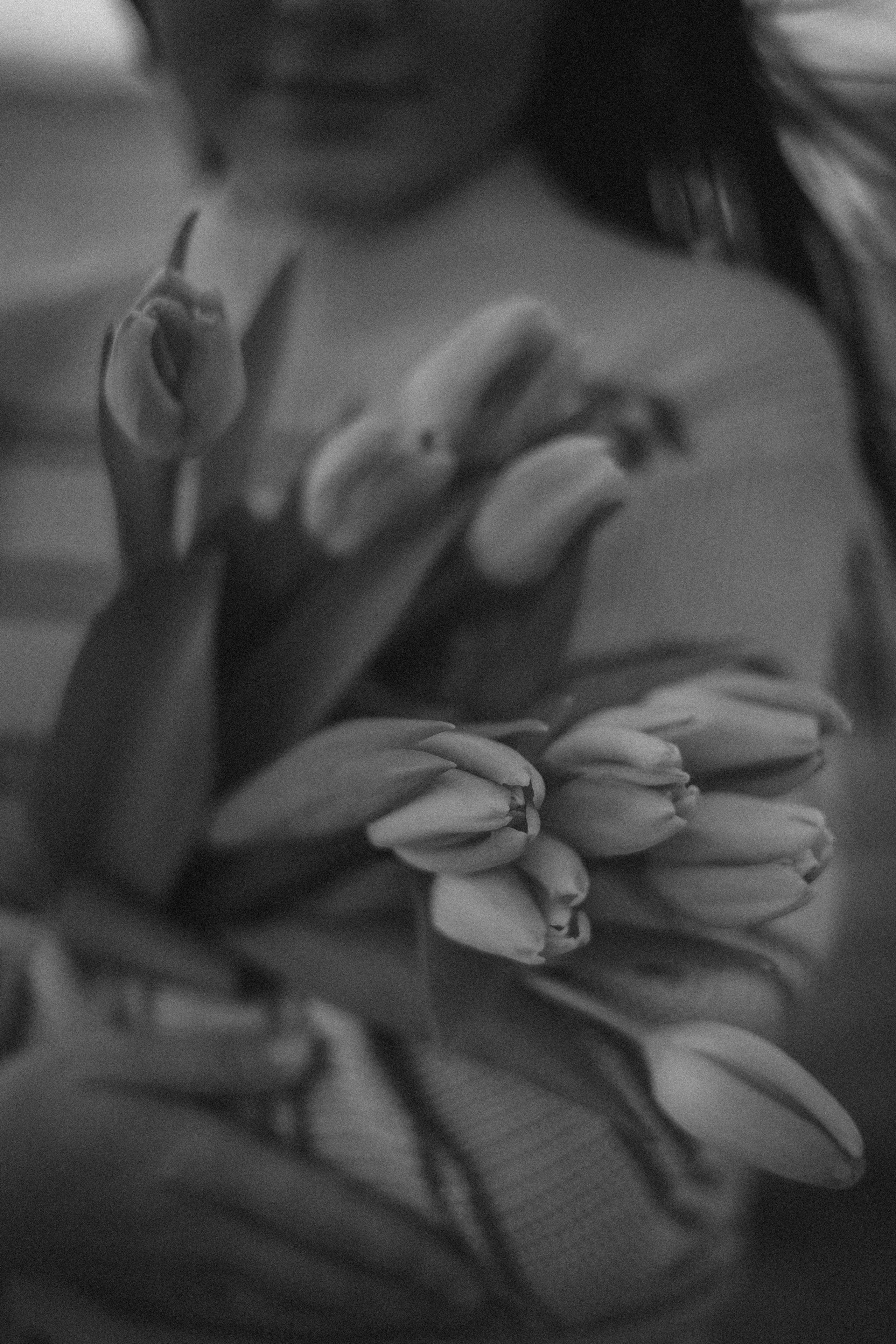 KaTy. TuLiPeS eN jAnViEr. Photographe en Côte d’Azur