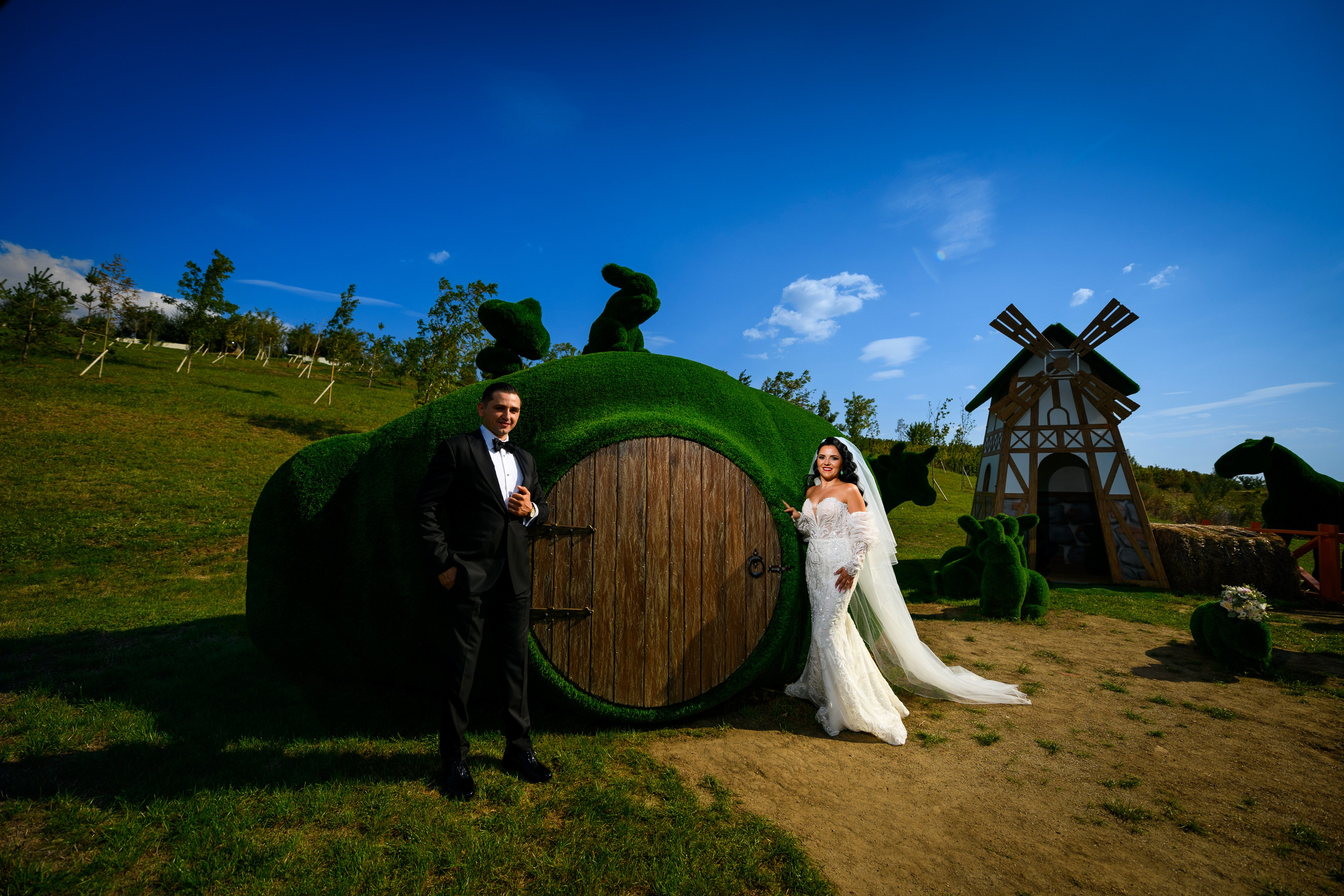 Wedding. Alin Doana Visual Art