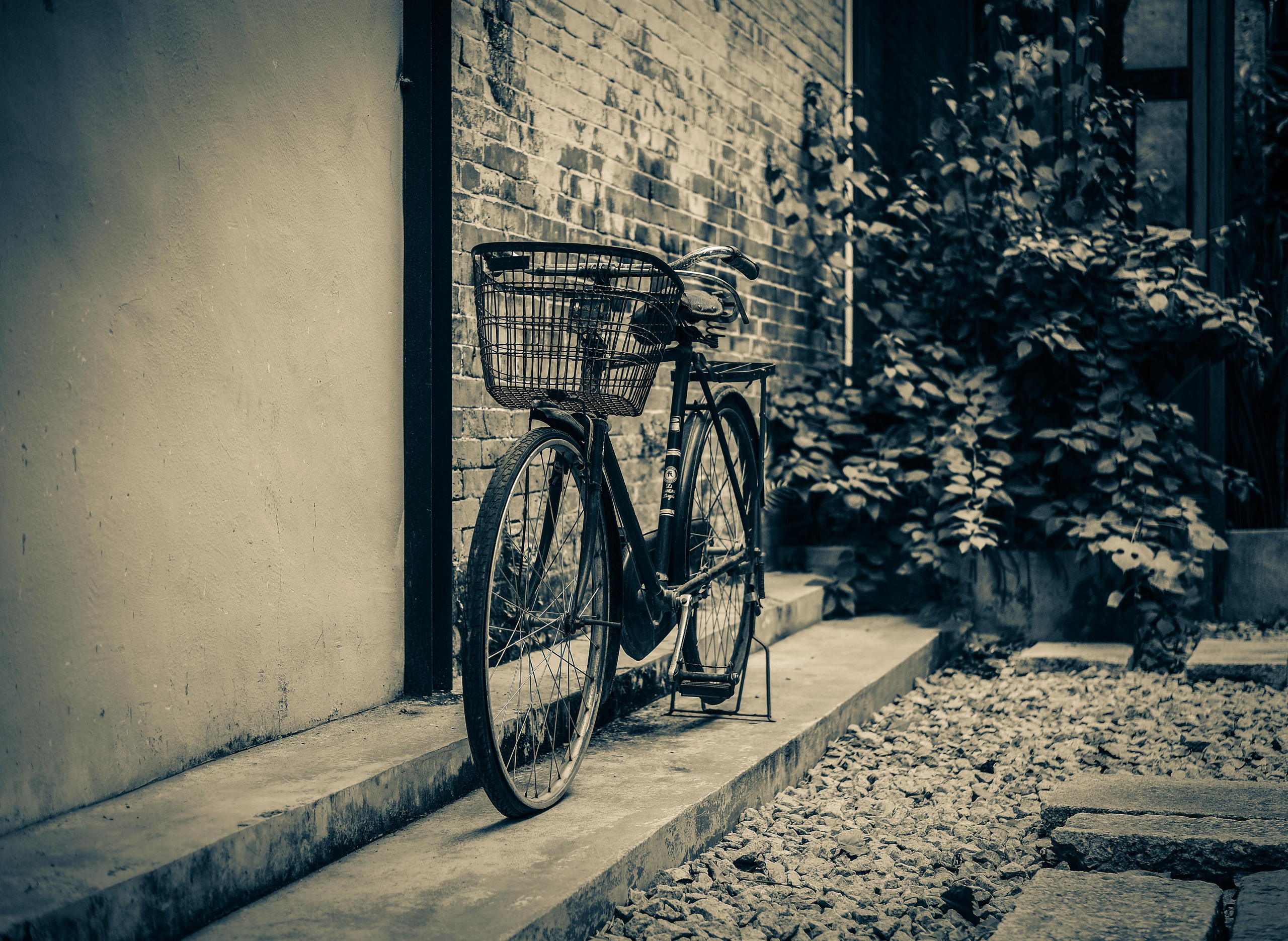 Bone Shaker | Huizhou City | Night lights | China | 骨振动器 | 惠州市| 夜灯| 中国
