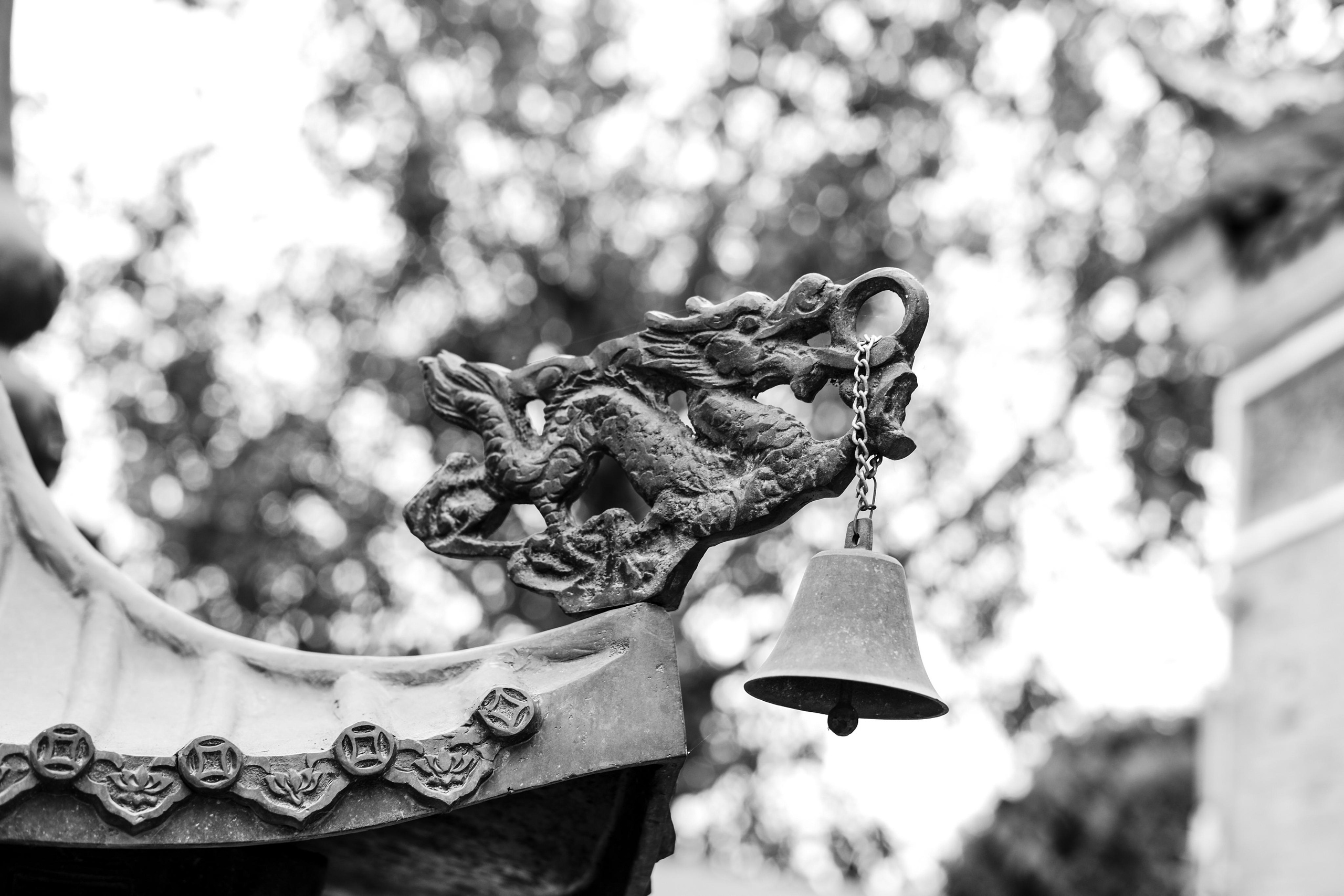 Black & White Dragon on the roof | Shenzhen | 屋顶上的黑白龙 | 深圳 | Chinese Dragon