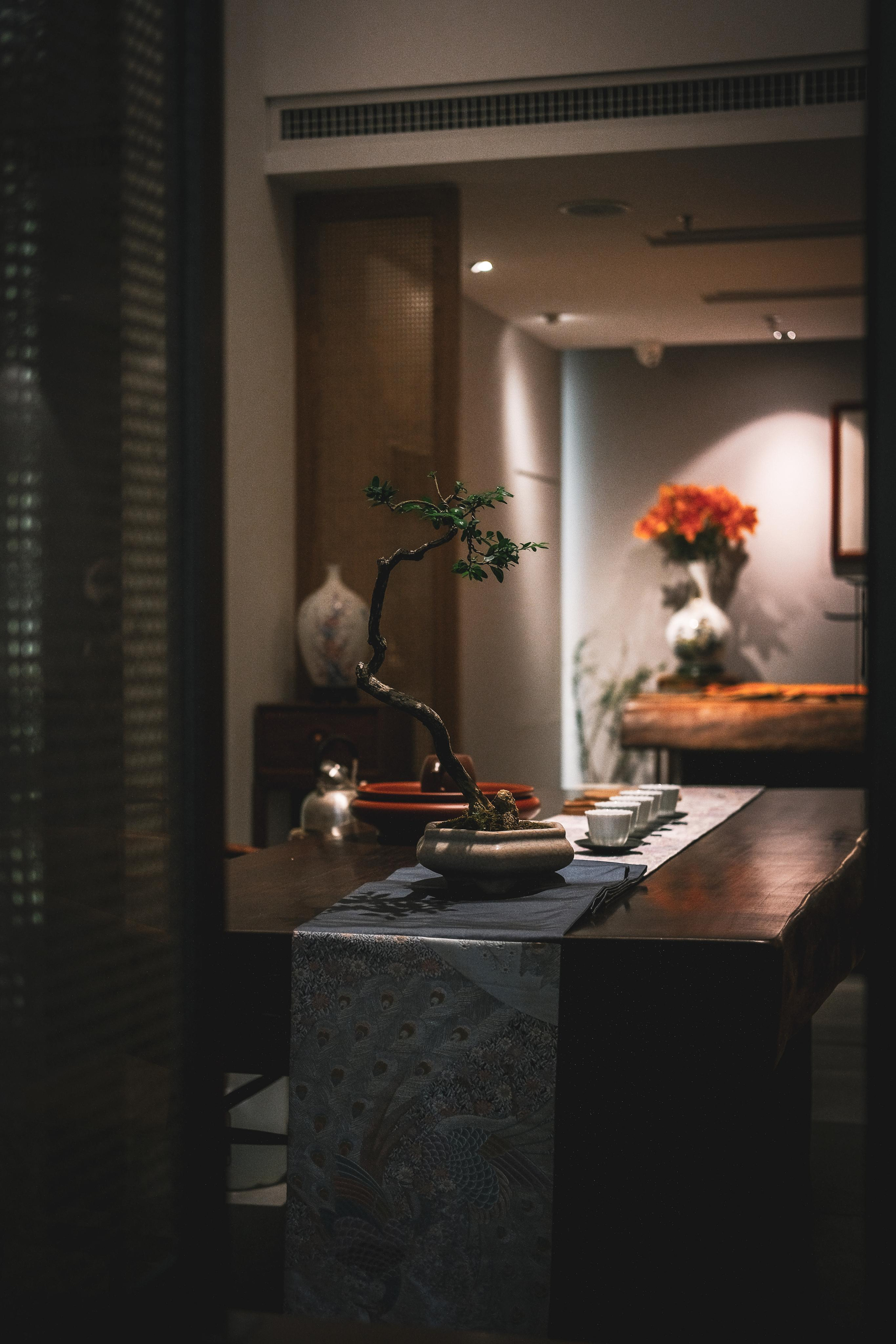 Chinese interior | Chinese Culture and Traditional Interior Style | Shenzhen | China | 中式内饰 | 中国文化与传统室内风格 | 深圳 | 中国