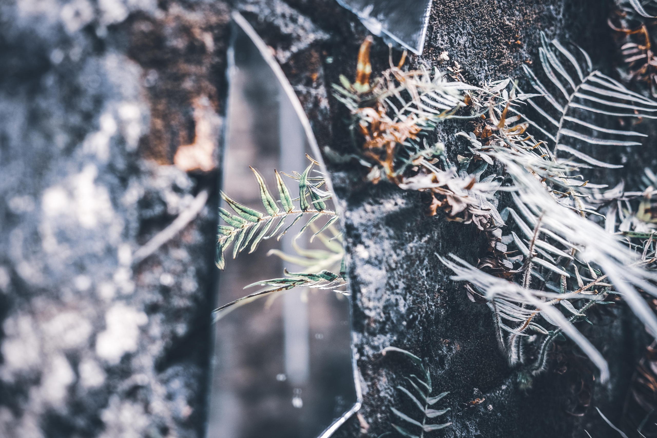 Reflection | Nature | China Town | Camera: FUJIFILM X-Pro3 35mm F2.0