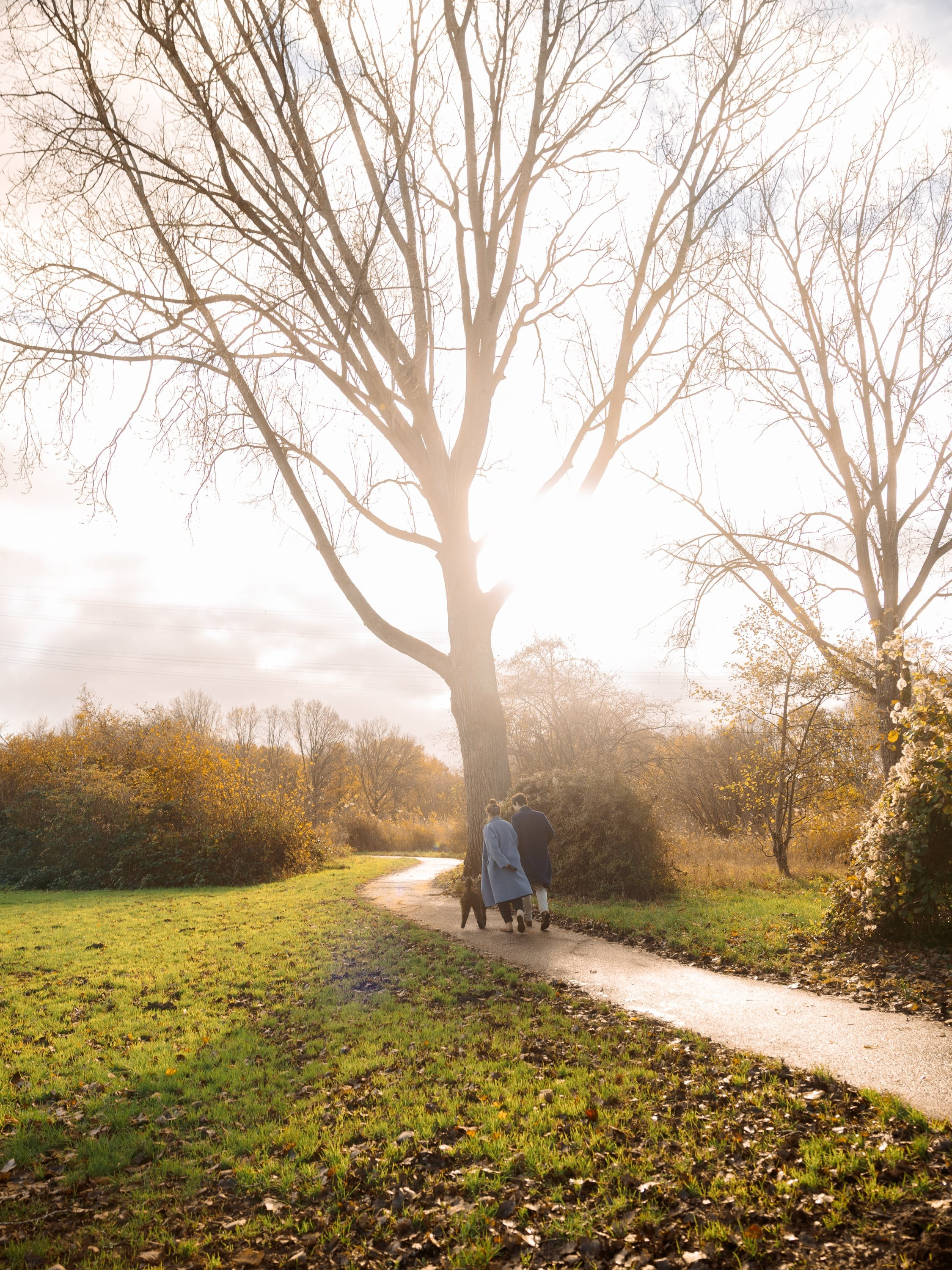 Pet Photoshoot in Spijkenisse | Rotterdam. Romantic & Soulful Photography by Natalia Olhova in Rotterdam
