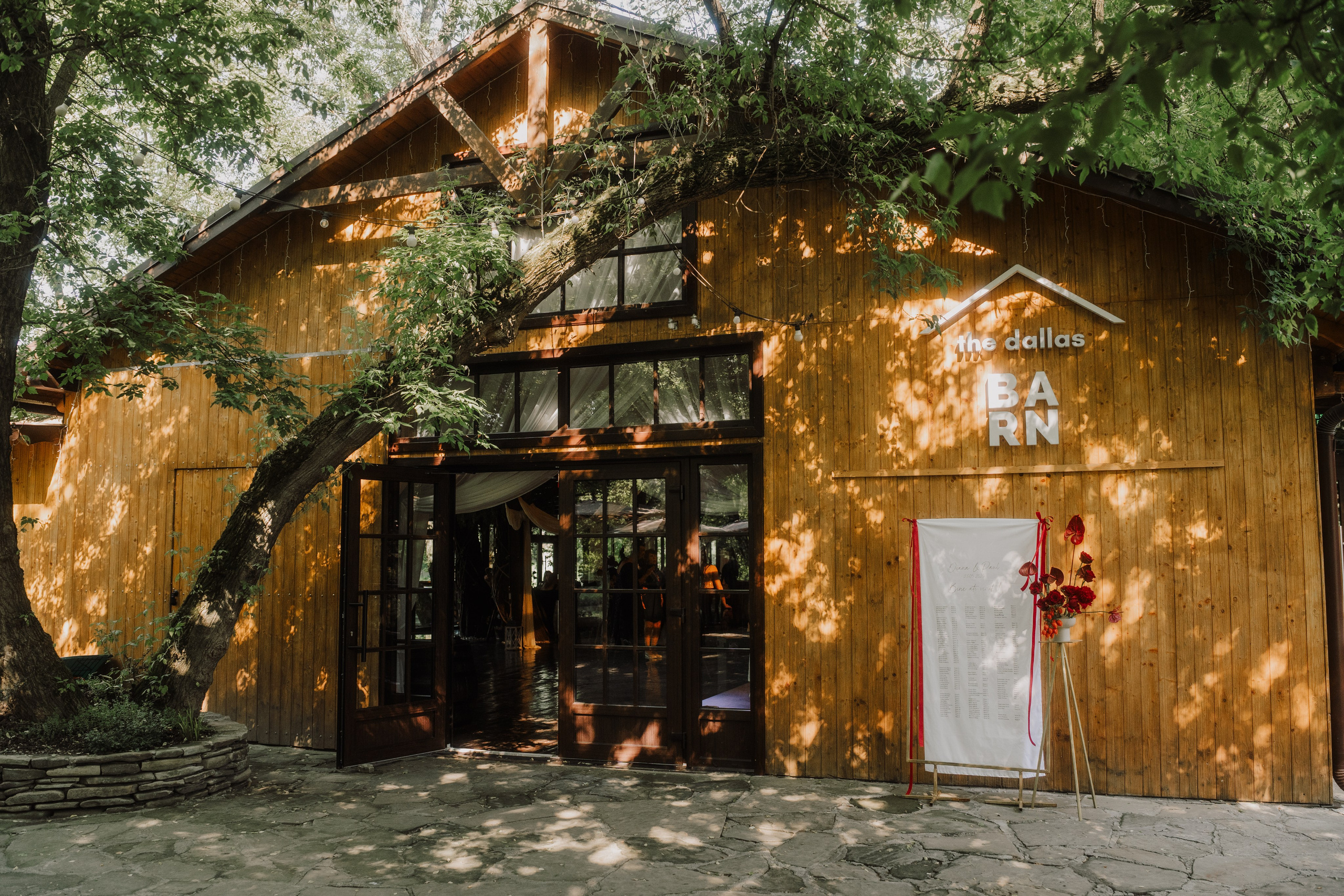 Diana și Paul. Visuals of Theodor — Wedding Photographer