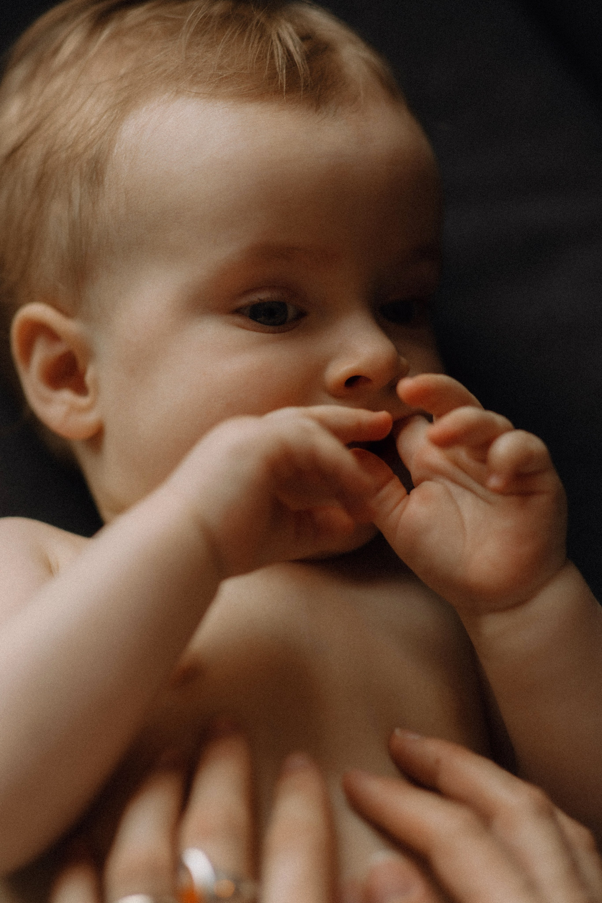 Jauki šeimos fotosesija | NAMAI. Vestuvių ir šeimų fotografė Lena Bondarenko / belove photo