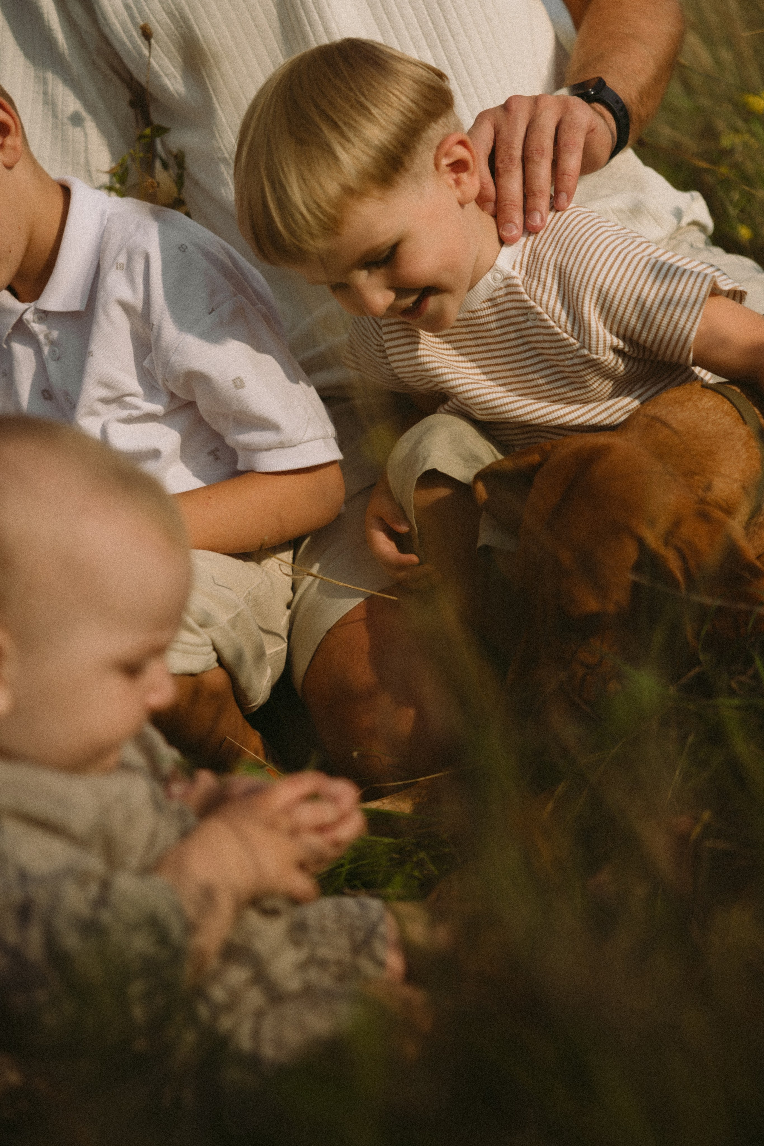 Simonos ir Mariaus šeima | PIEVA. Vestuvių ir šeimų fotografė Lena Bondarenko / belove photo