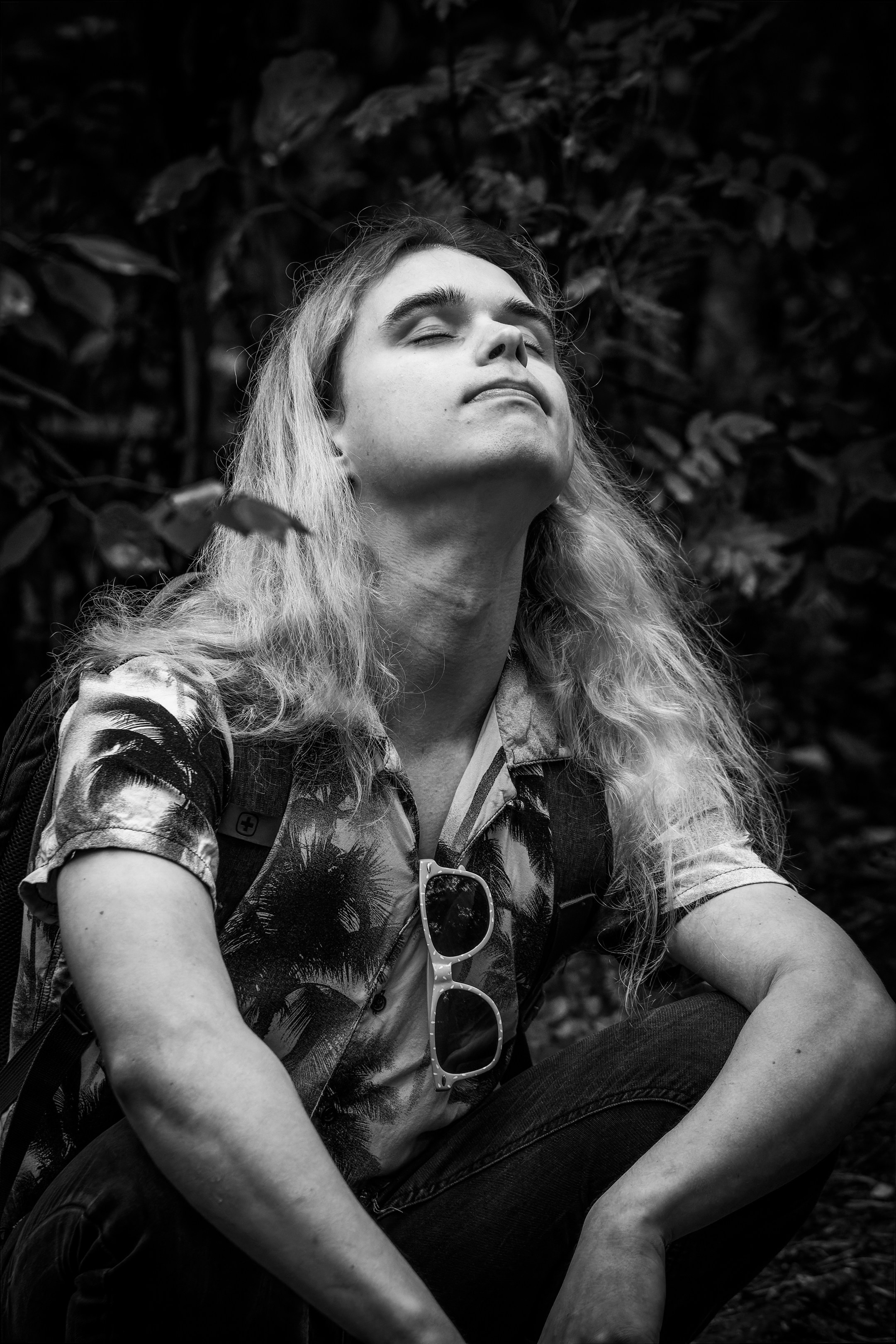 Mets, vihm ja jahedus (Dimitry). Nebula 25 — Fotod teie hingele