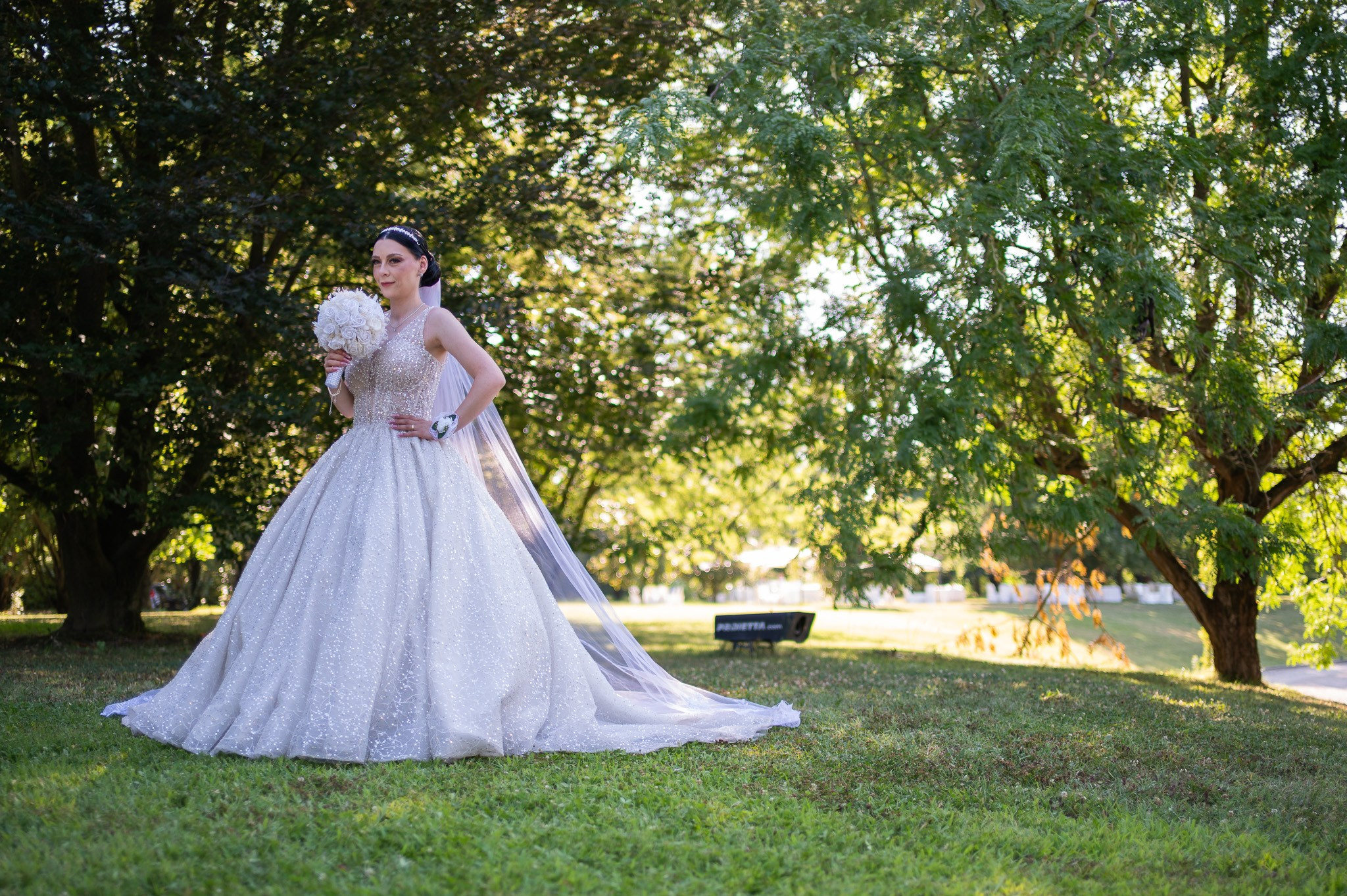 Wedding Andreia & Ionut. Daniel Rotaru Photography