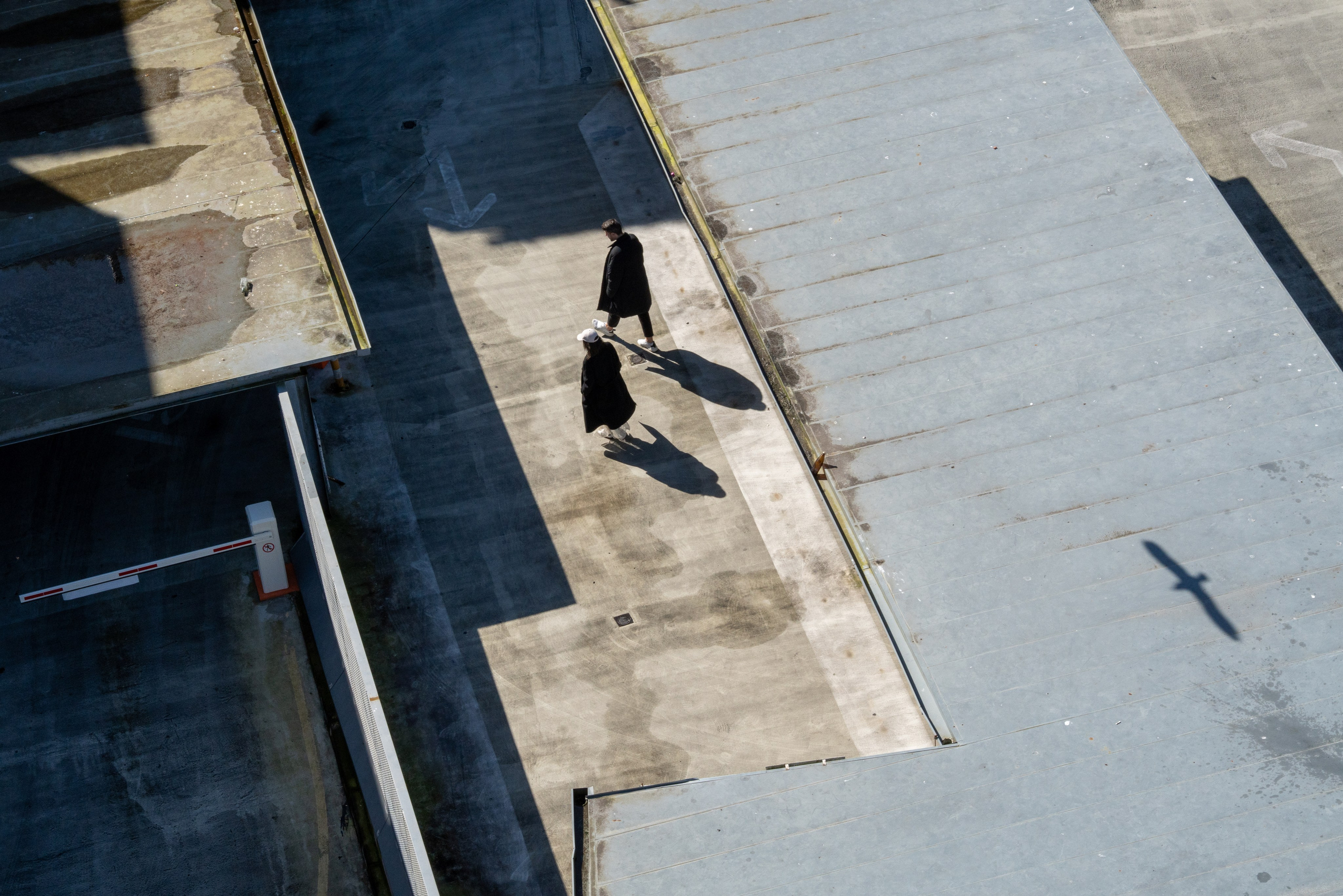 Работы Марии Шер. Sher.SCHOOL