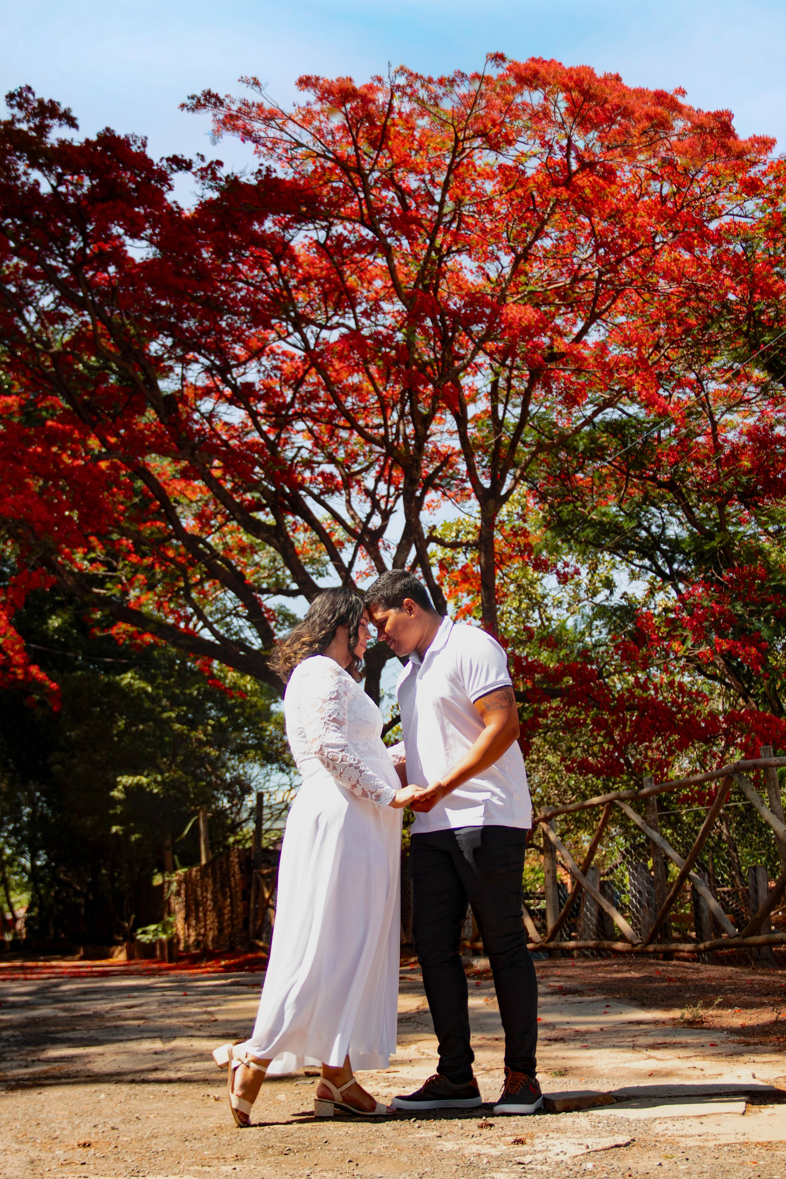 PRÉWEDD.ING. FOTÓGRAFA | GOIÂNIA