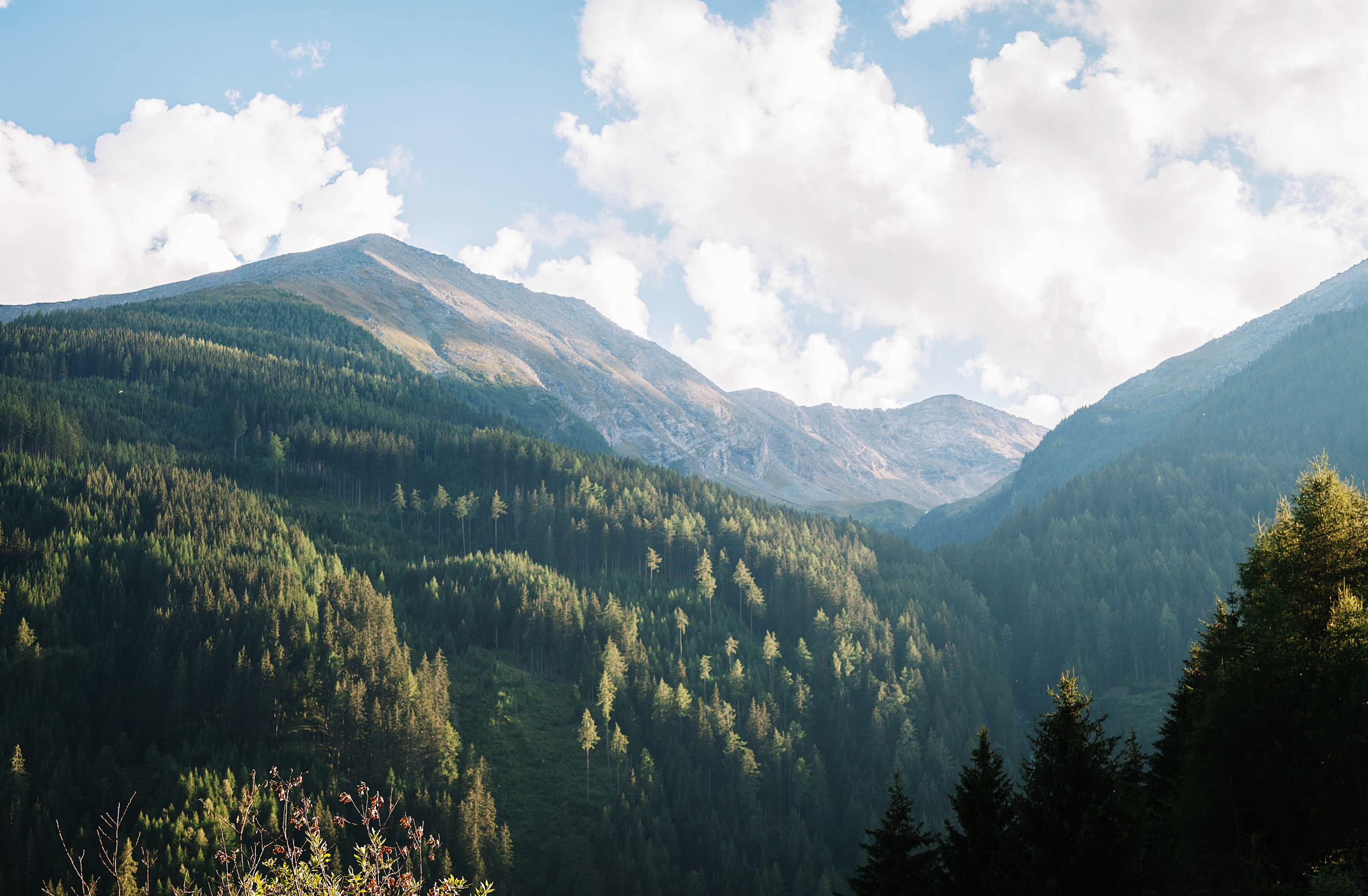 Landscapes. Wedding photographer Lyubov Sun Reutlingen