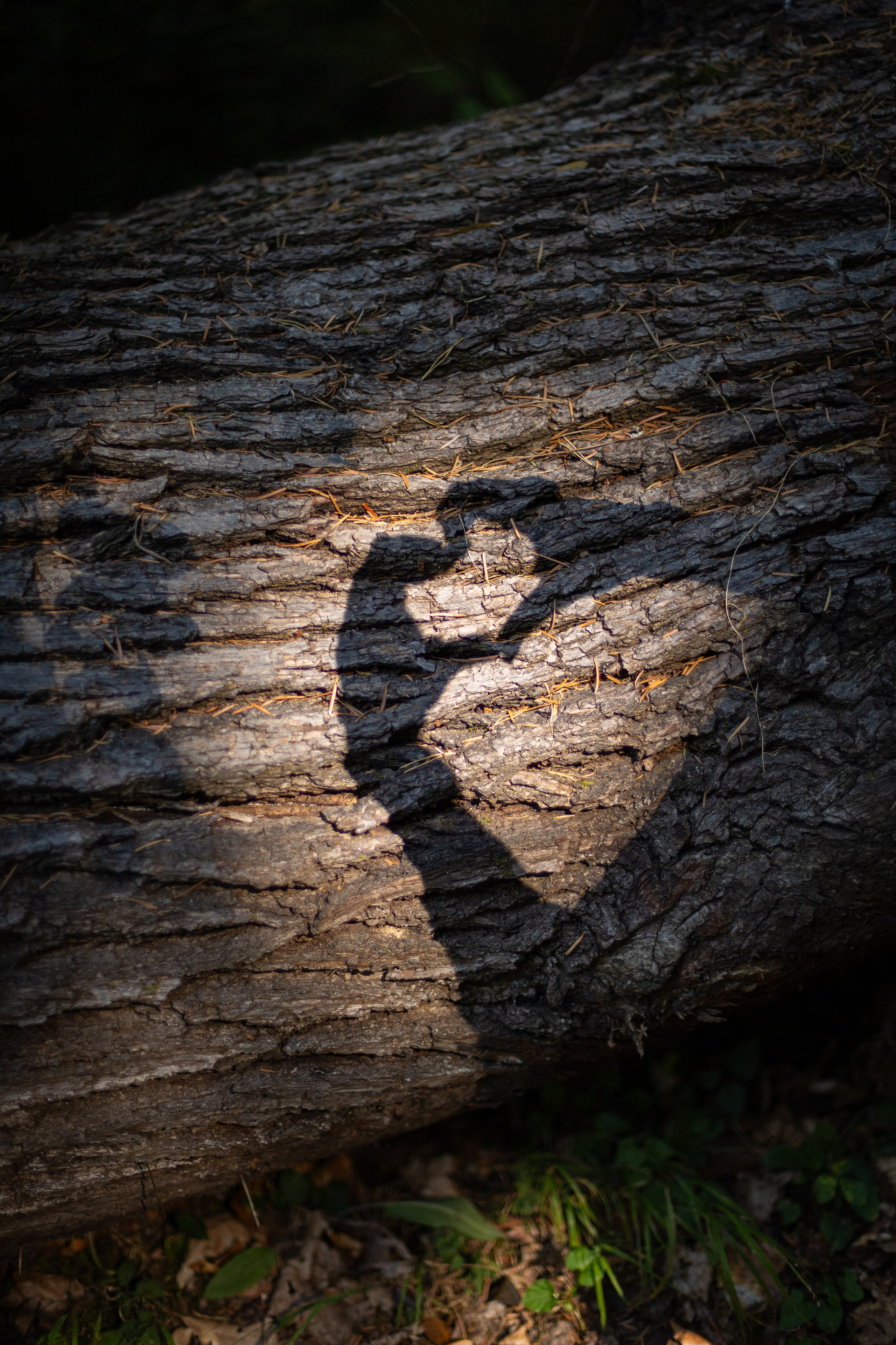 Mit Oma. PHOTOgrapher Germany MARBURG