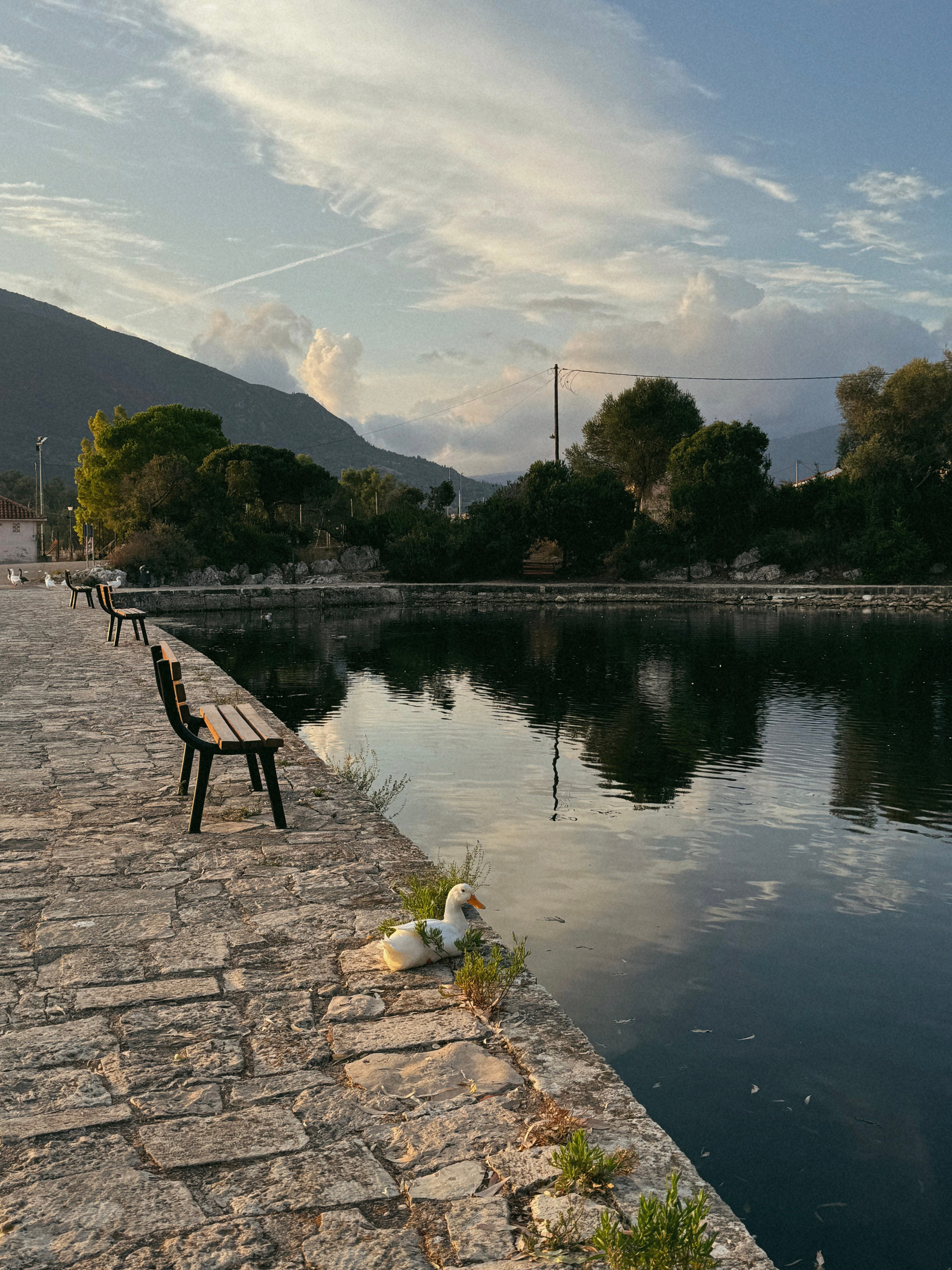 Моими глазами. Salut!