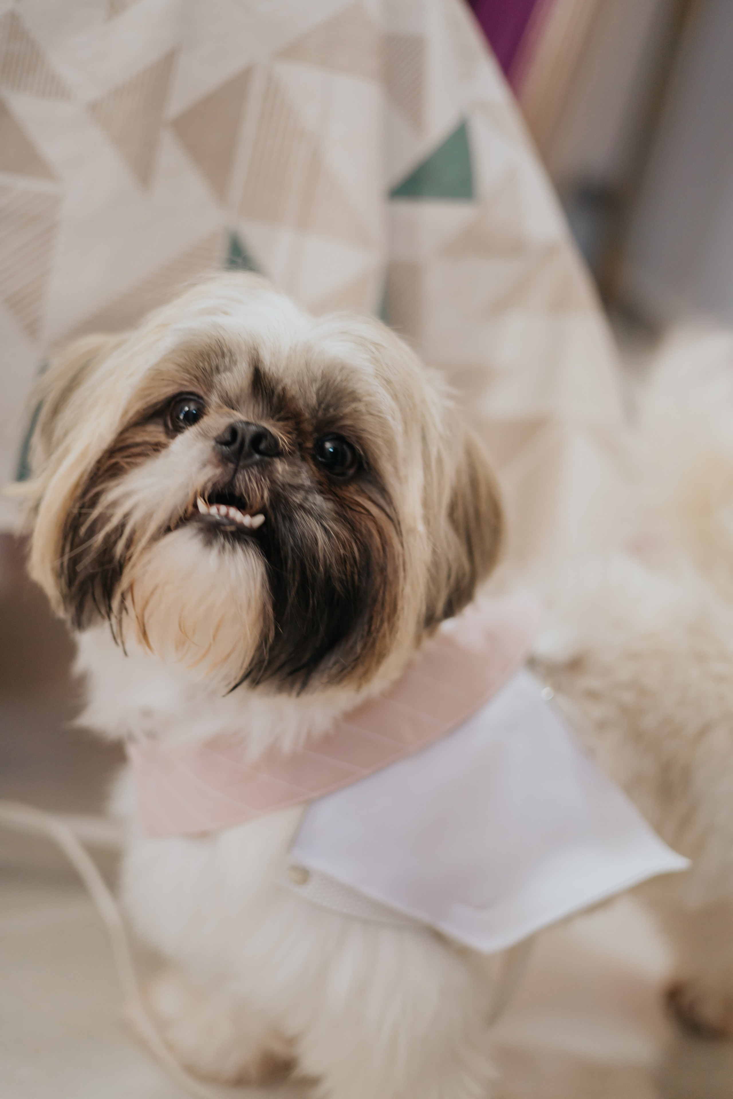 Pettúlia & Breno. Fotógrafo de Casamentos na Bahia — Richard Silvestre
