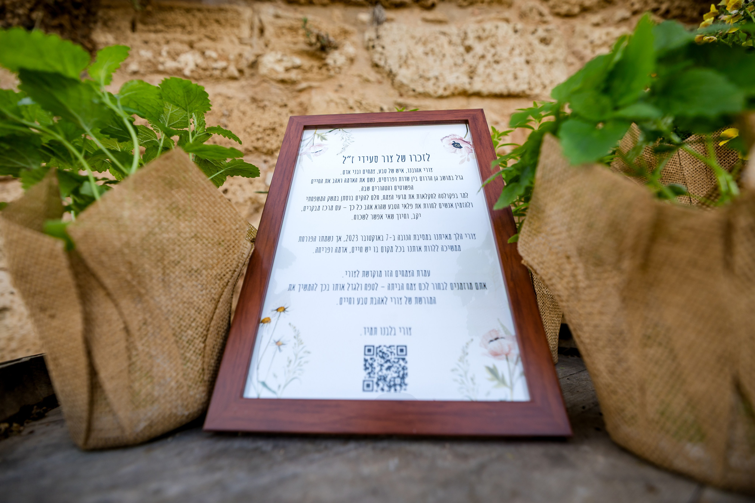 Tamar & Assaf. AMIR BUCHNIK PHOTOGRAPHER