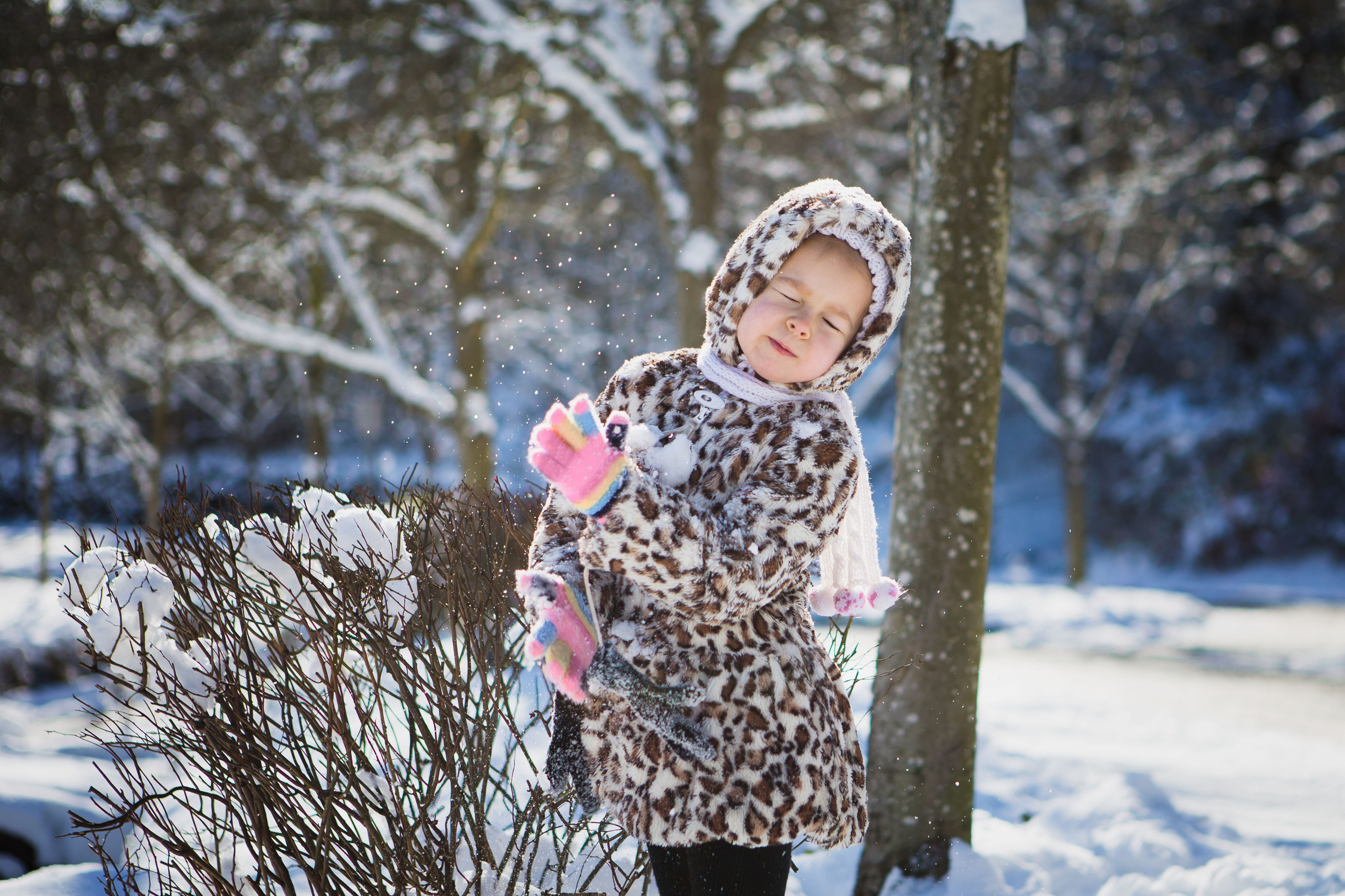 Winter. YuAnna studio. Family & Kids Photographer in Seattle area, located in