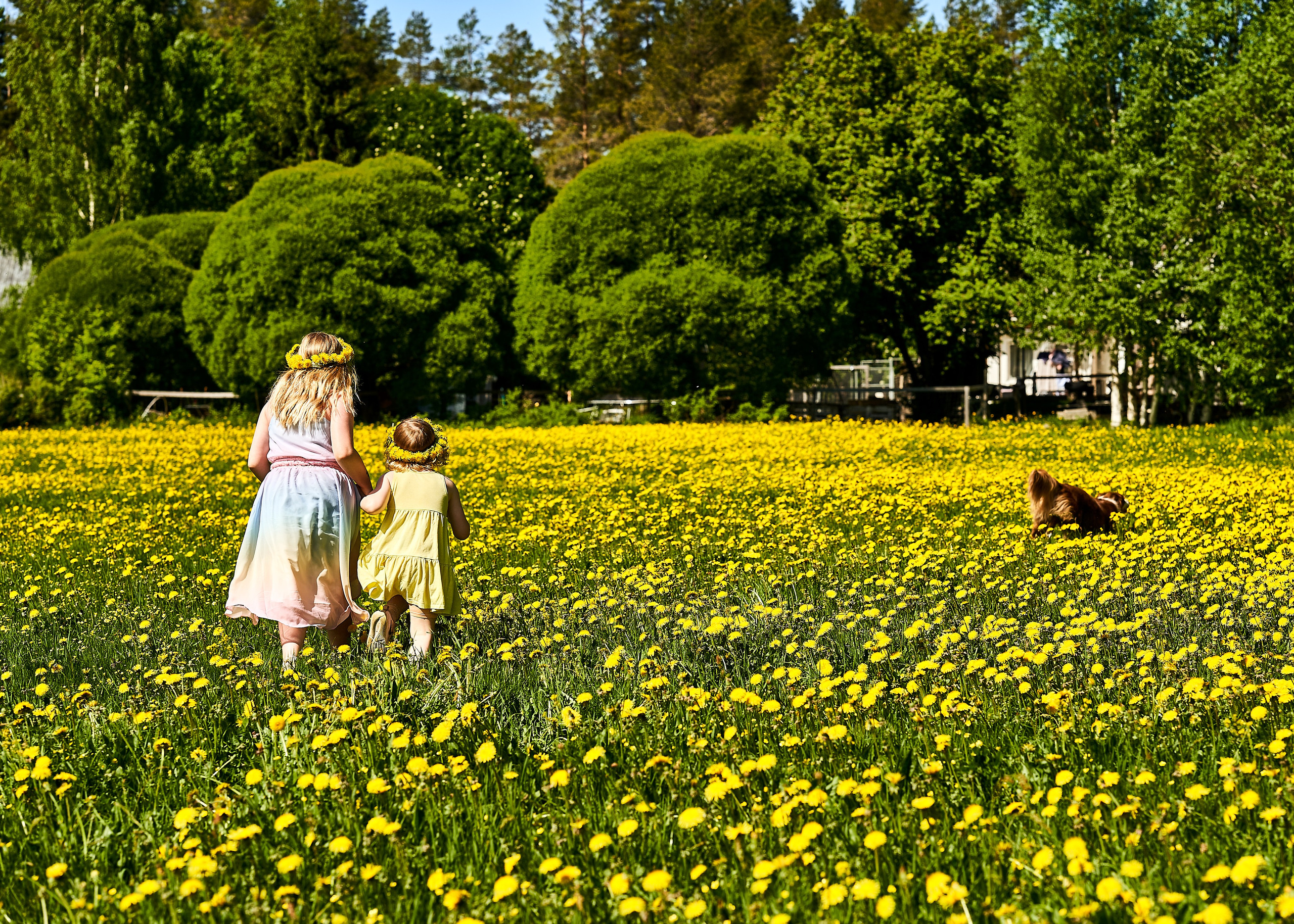 Barnfotografering. Family and portrait photographer Natalja Biteniece