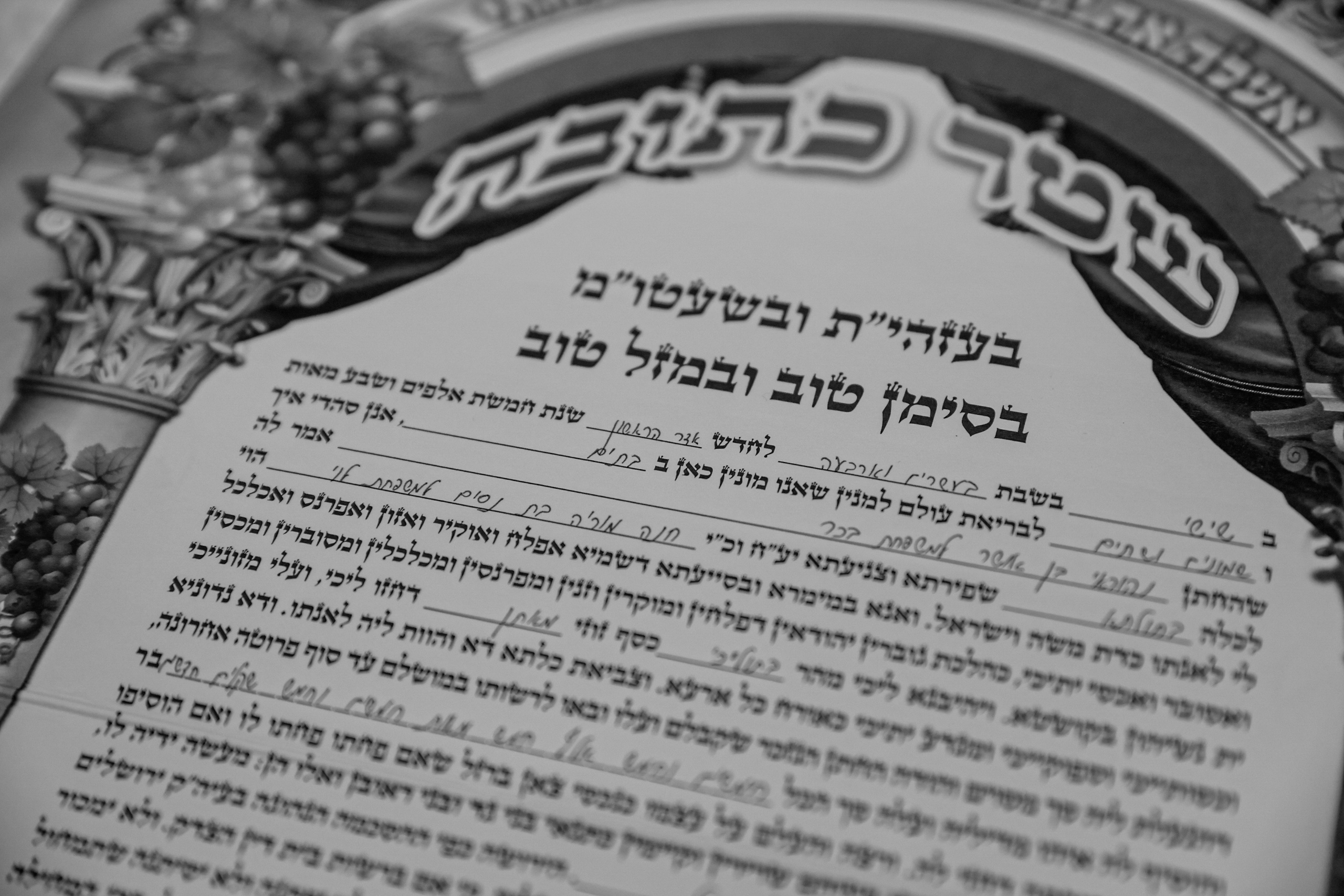 N&S. משה מנשה צלם חתונות