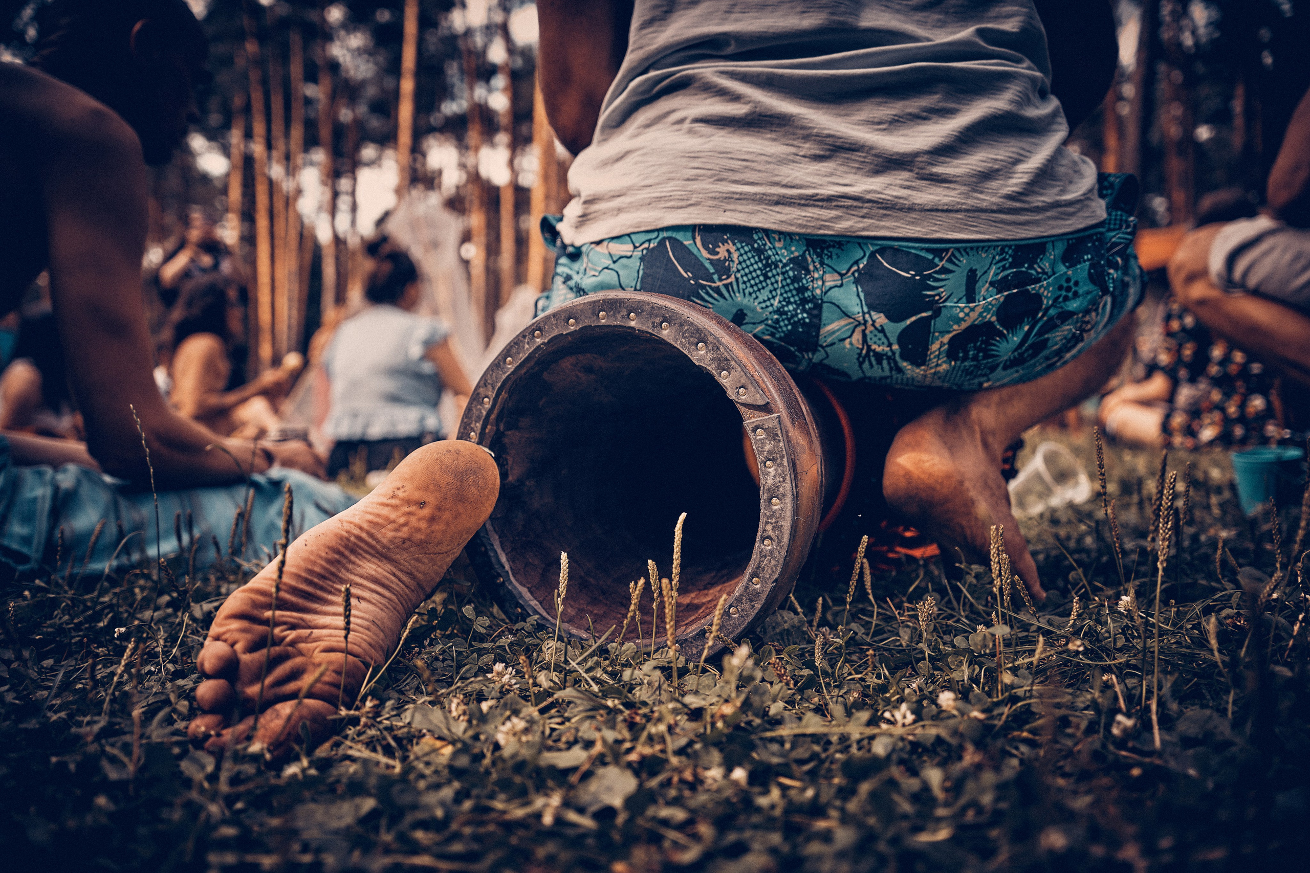 Organic Festival 2024. Андрей Шипилов — Фотография & Видеография