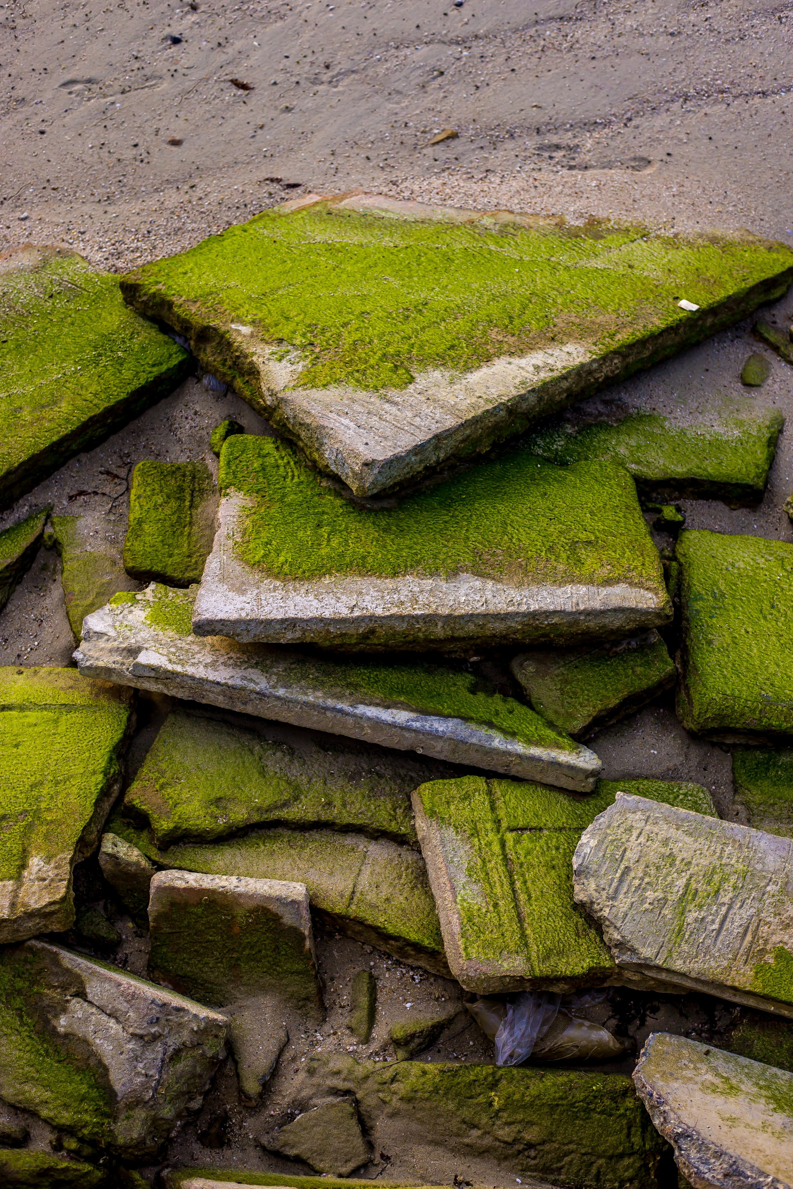 Thailand 2023, Samui. Art Photographer