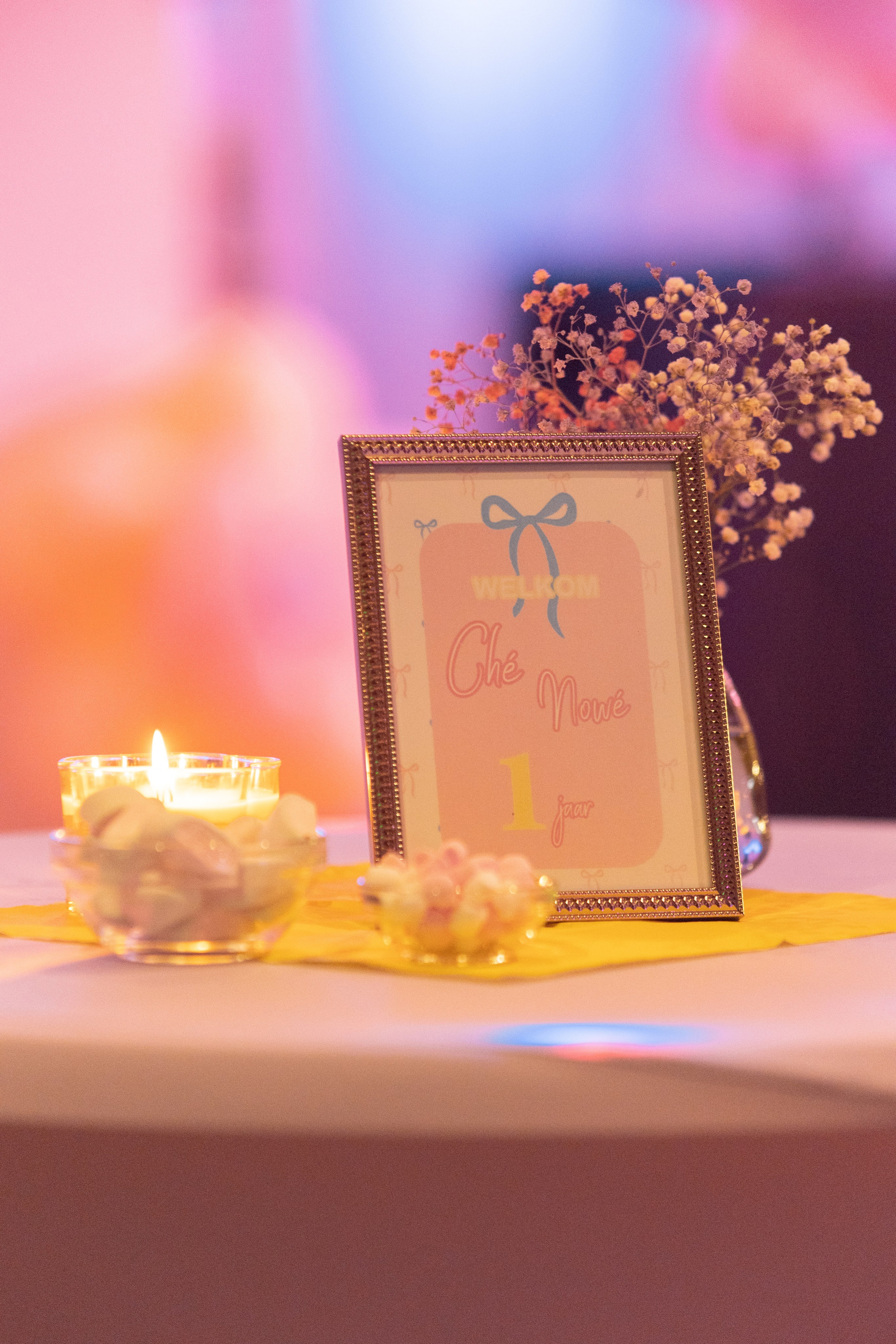 1 st Birthday. Portrait and Family Photographer in Netherlands