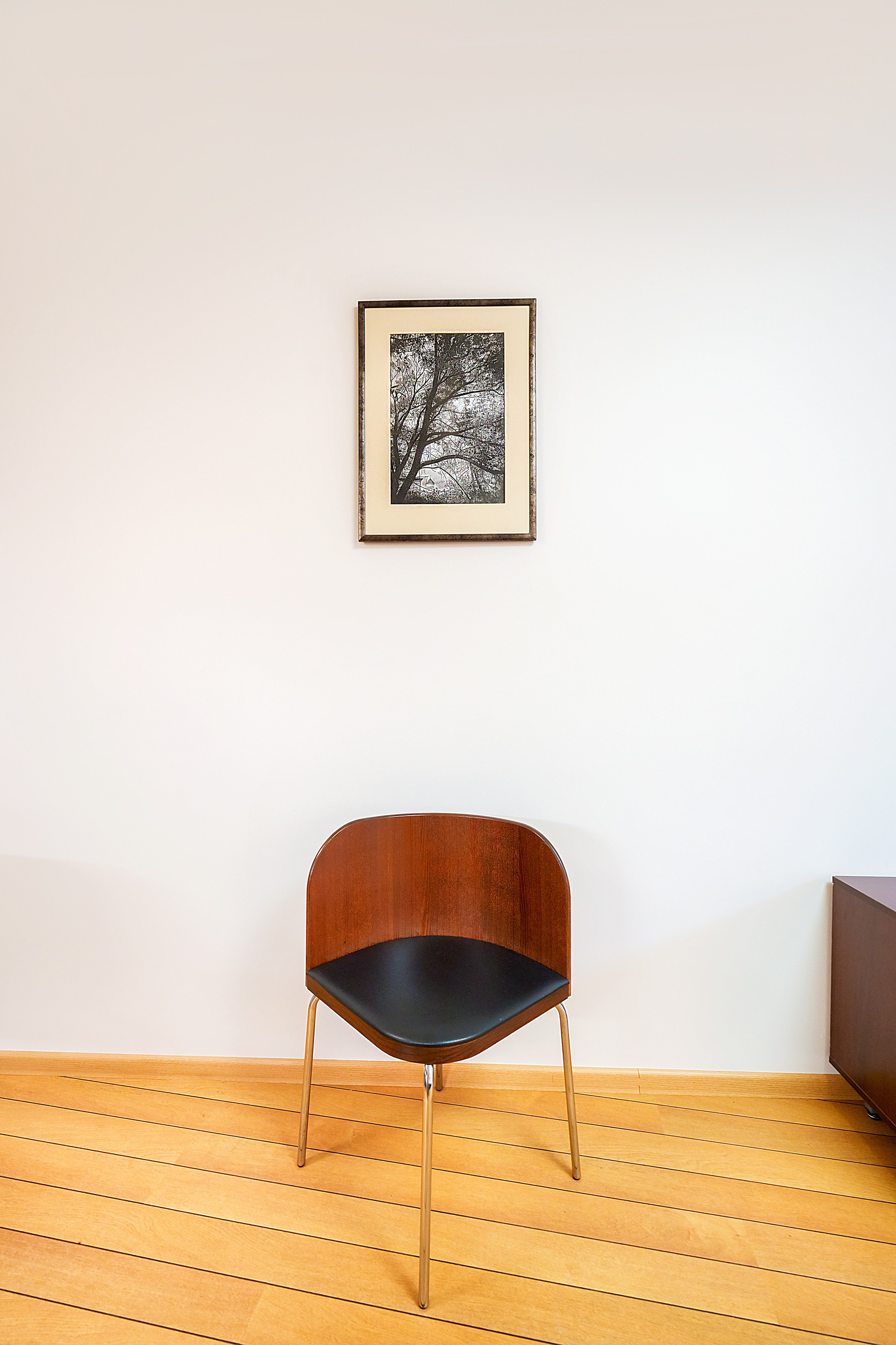 Aušros vartų. Elina Sapiega fotografė Vilniuje