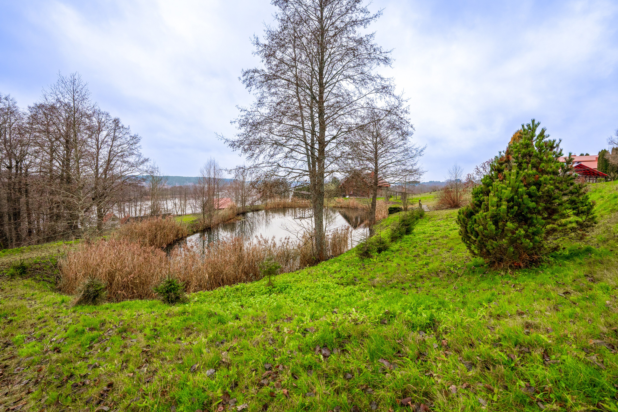 Trakų raj. sodyba. Elina Sapiega fotografė Vilniuje