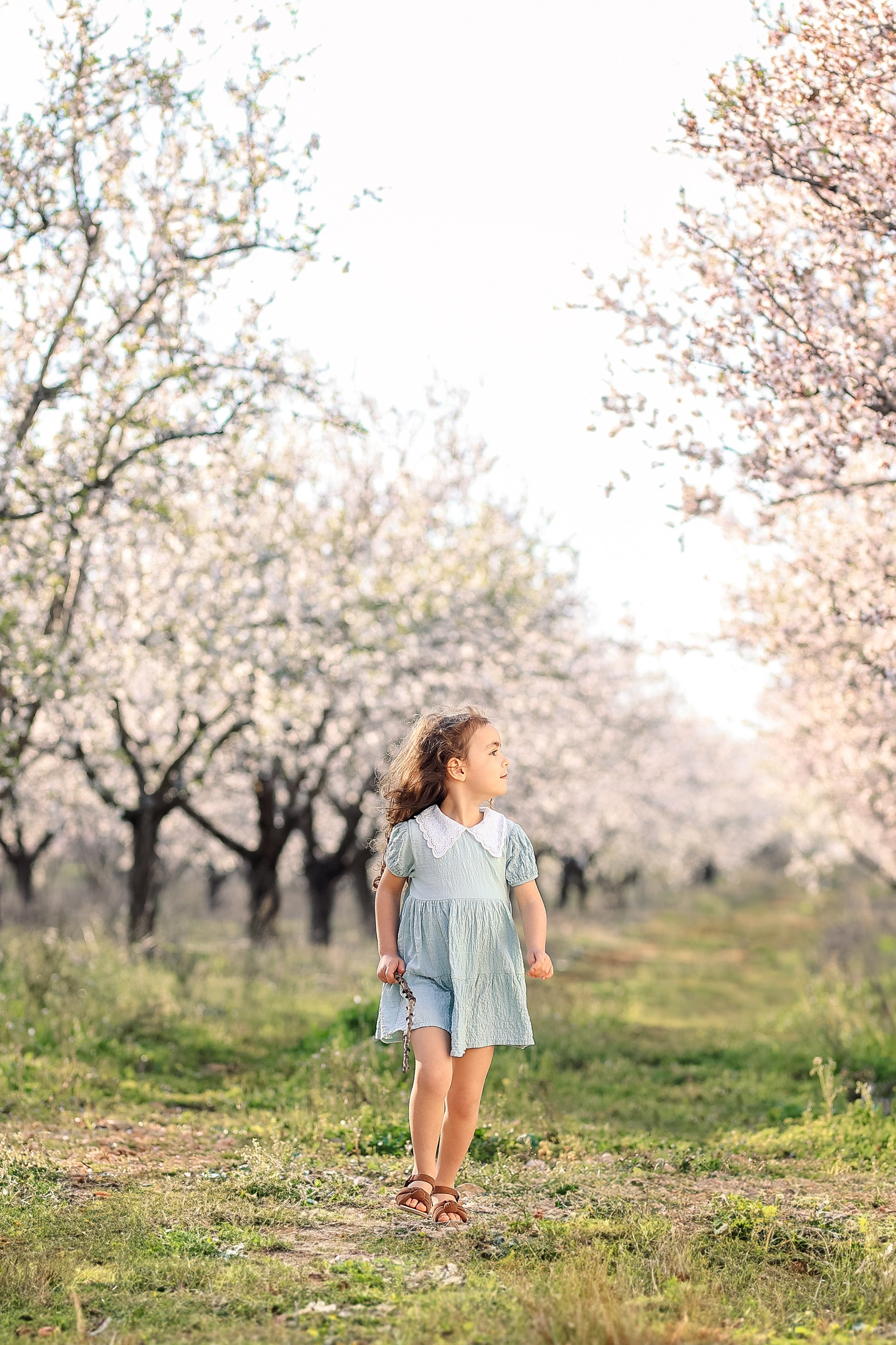 Фотосессия в цветущем миндале. Фотограф в Турции, Анталии, Кемере, Белеке, Сиде, Каше, Калкане, Фетхие
