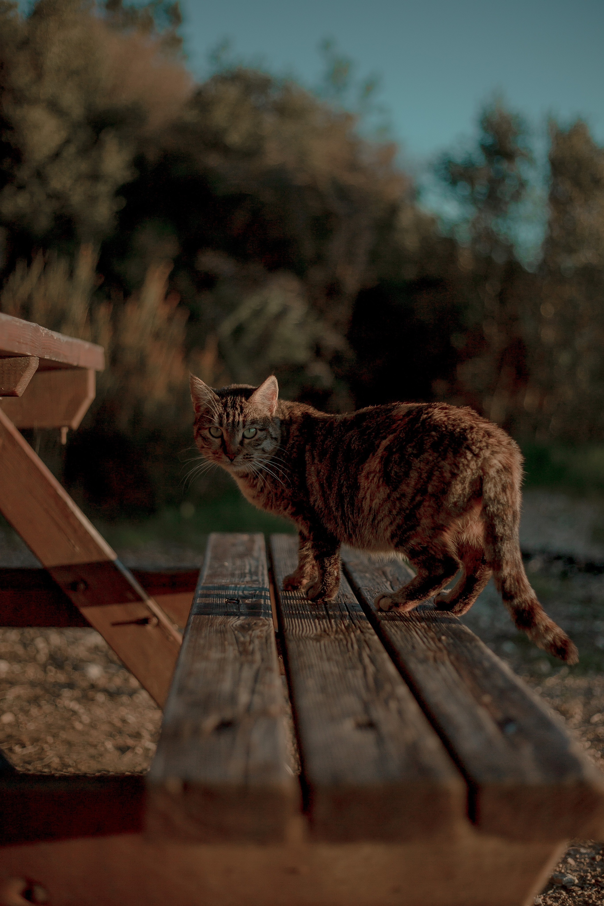 Turkey, Alanya. Art Photographer