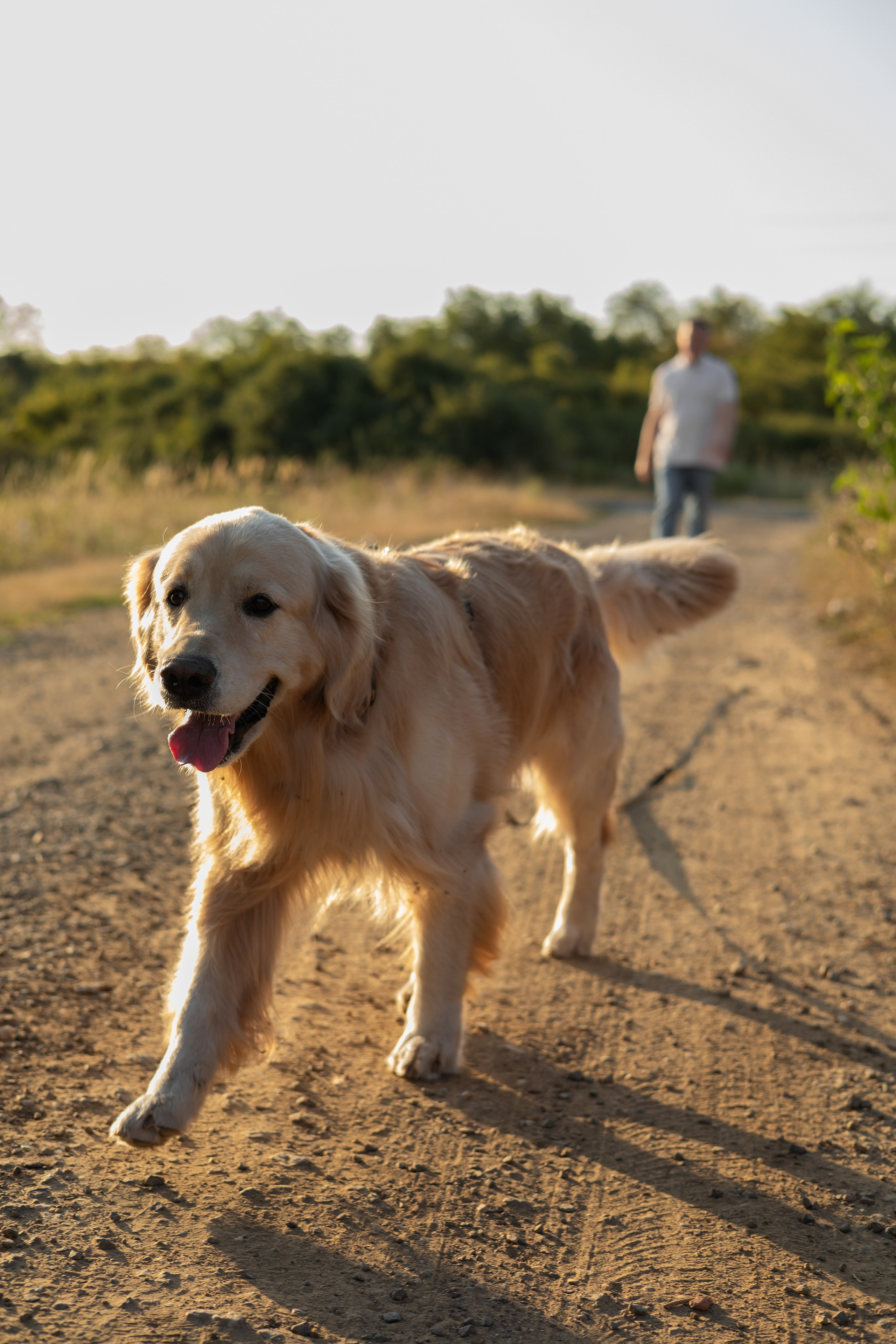 Антон и Плюша. Фотограф-анималист | Белград