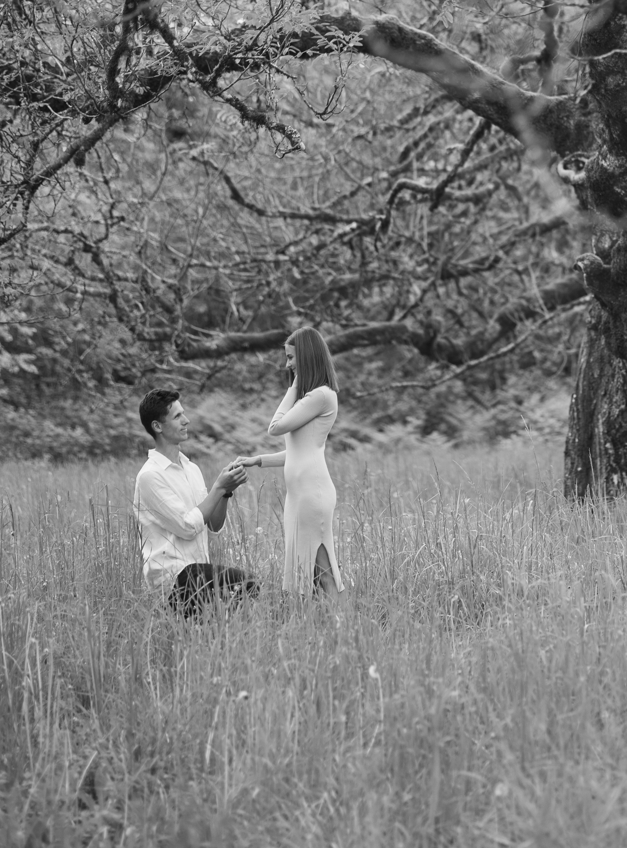 V | A. Family and Wedding photographer