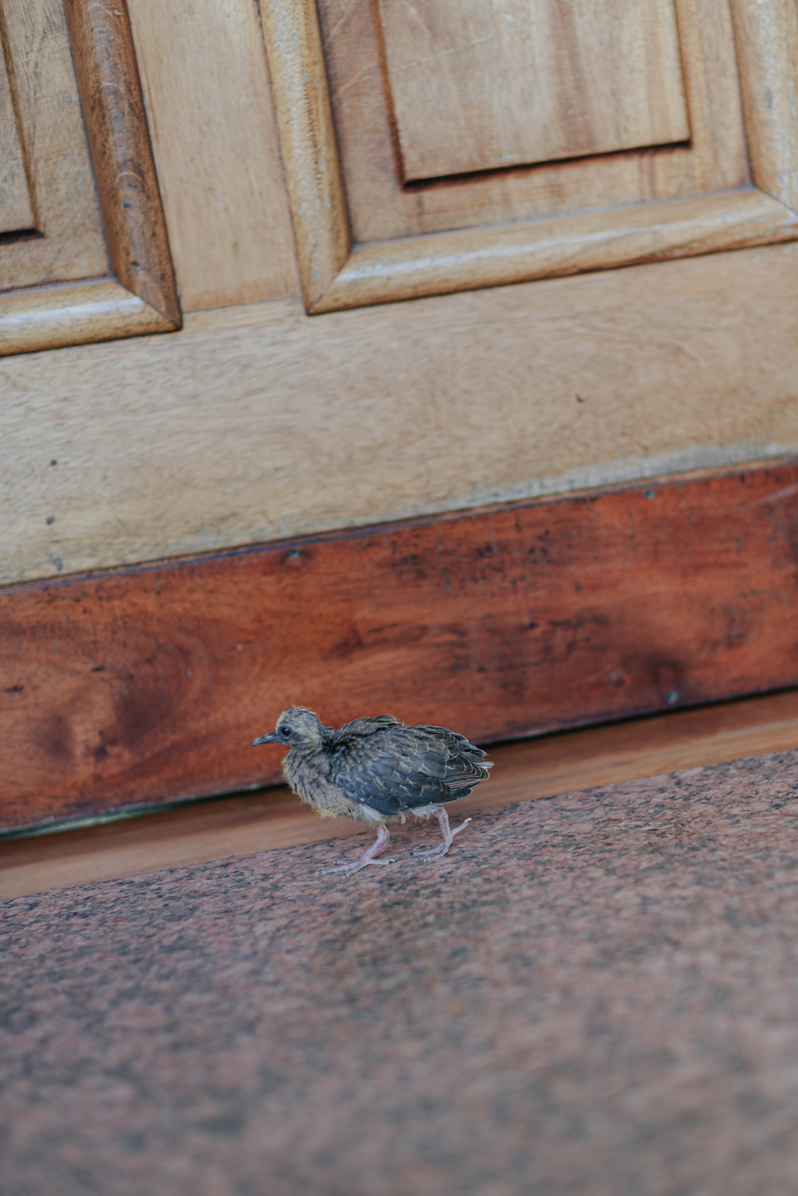 Docdocdoc. 15 strangers. Photographer @elmirkami in the city of Buenos Aires