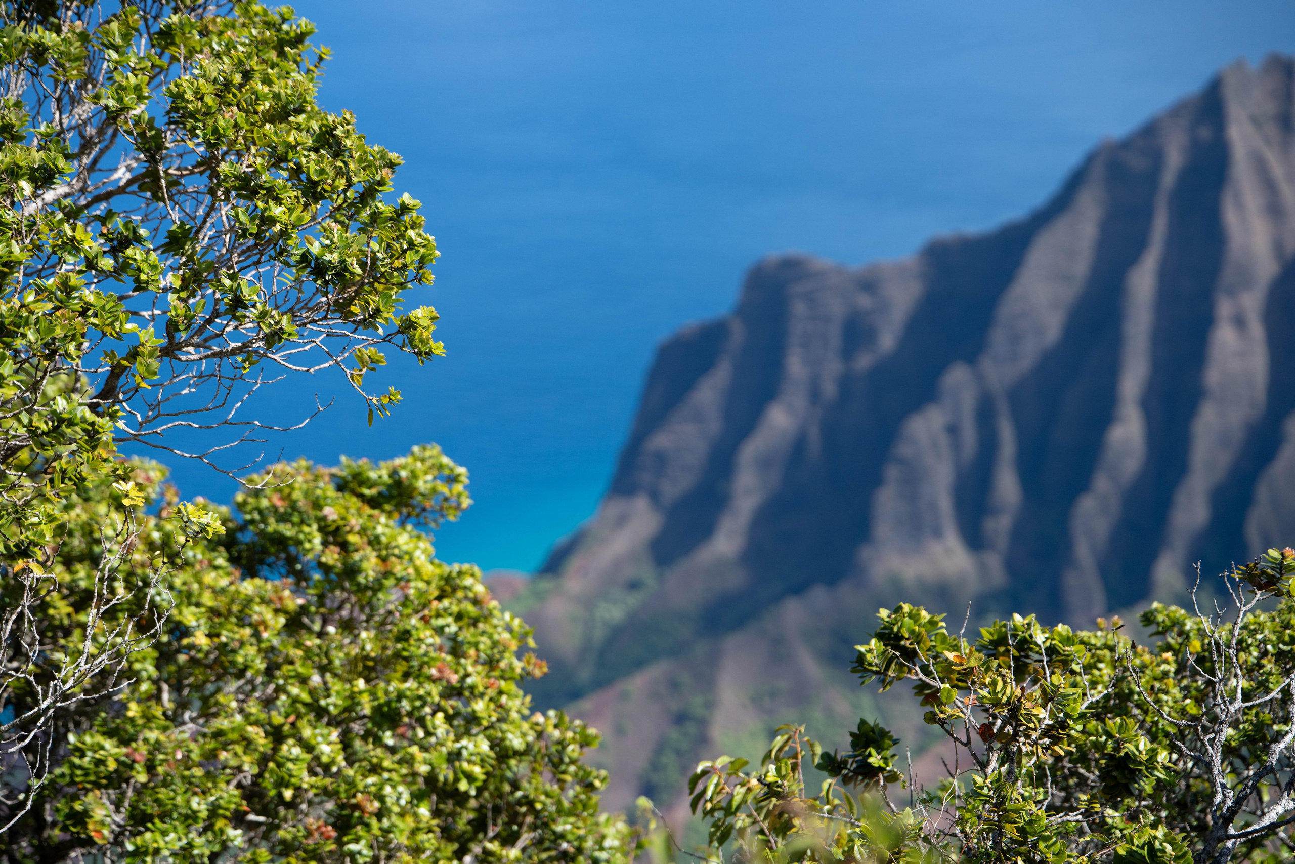 LANDSCAPES. Awards winning photographer in Kauai, Hawaii