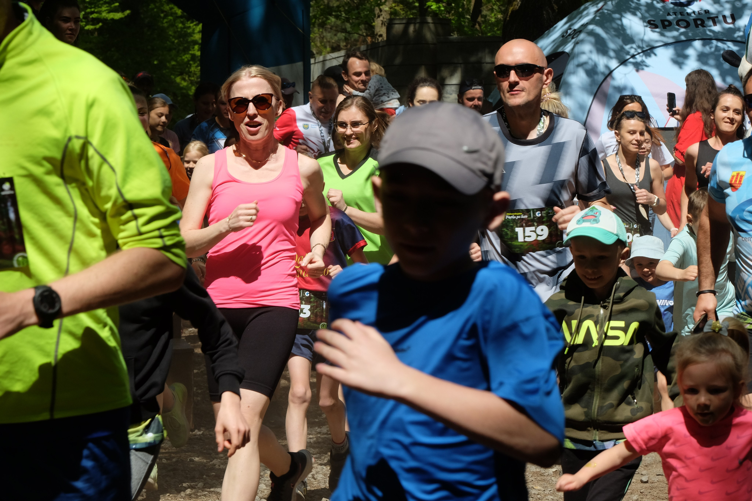 Aleksandryjska Piątka po lesie. Main