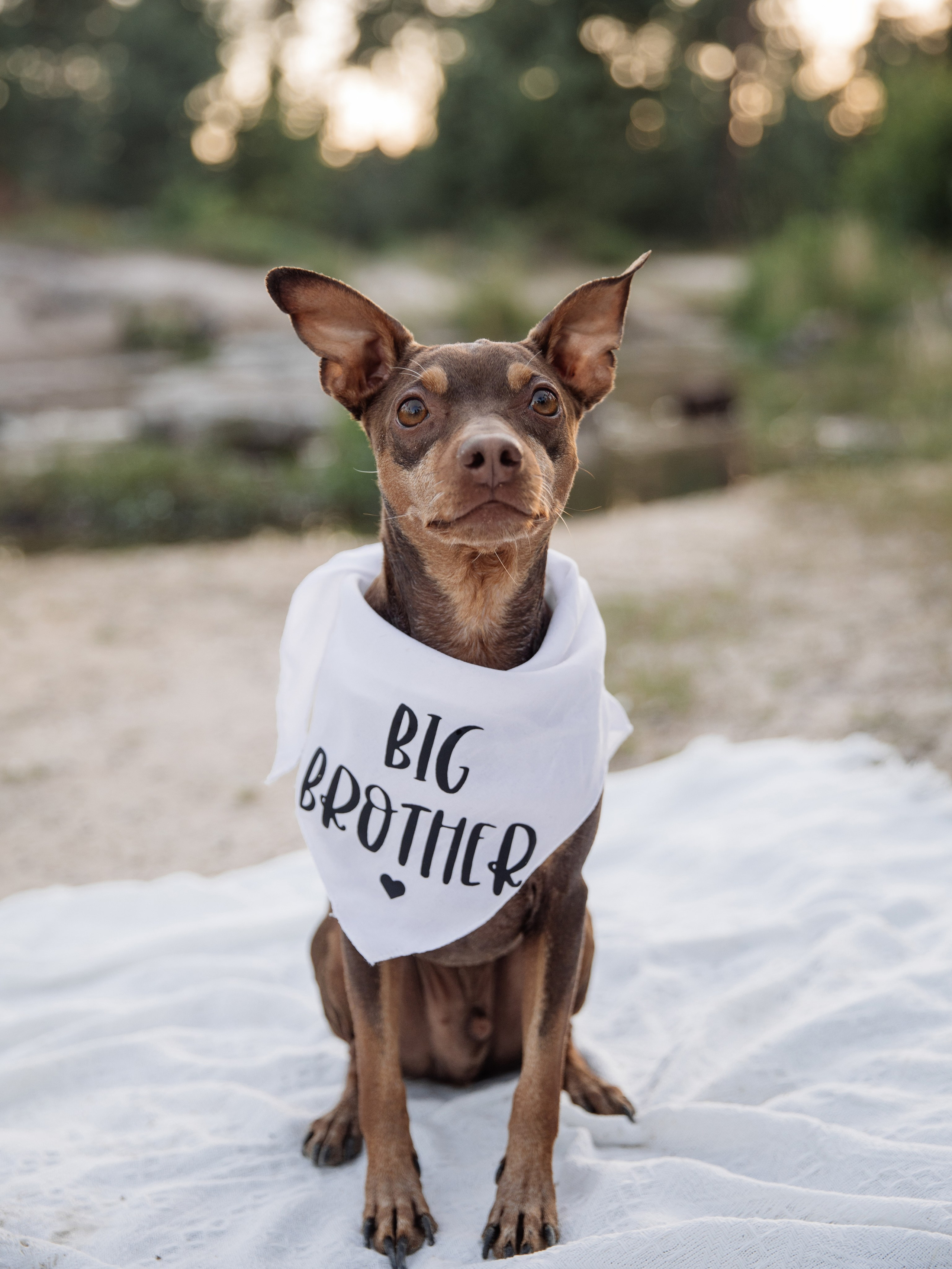 Maternity. Wedding Photographer