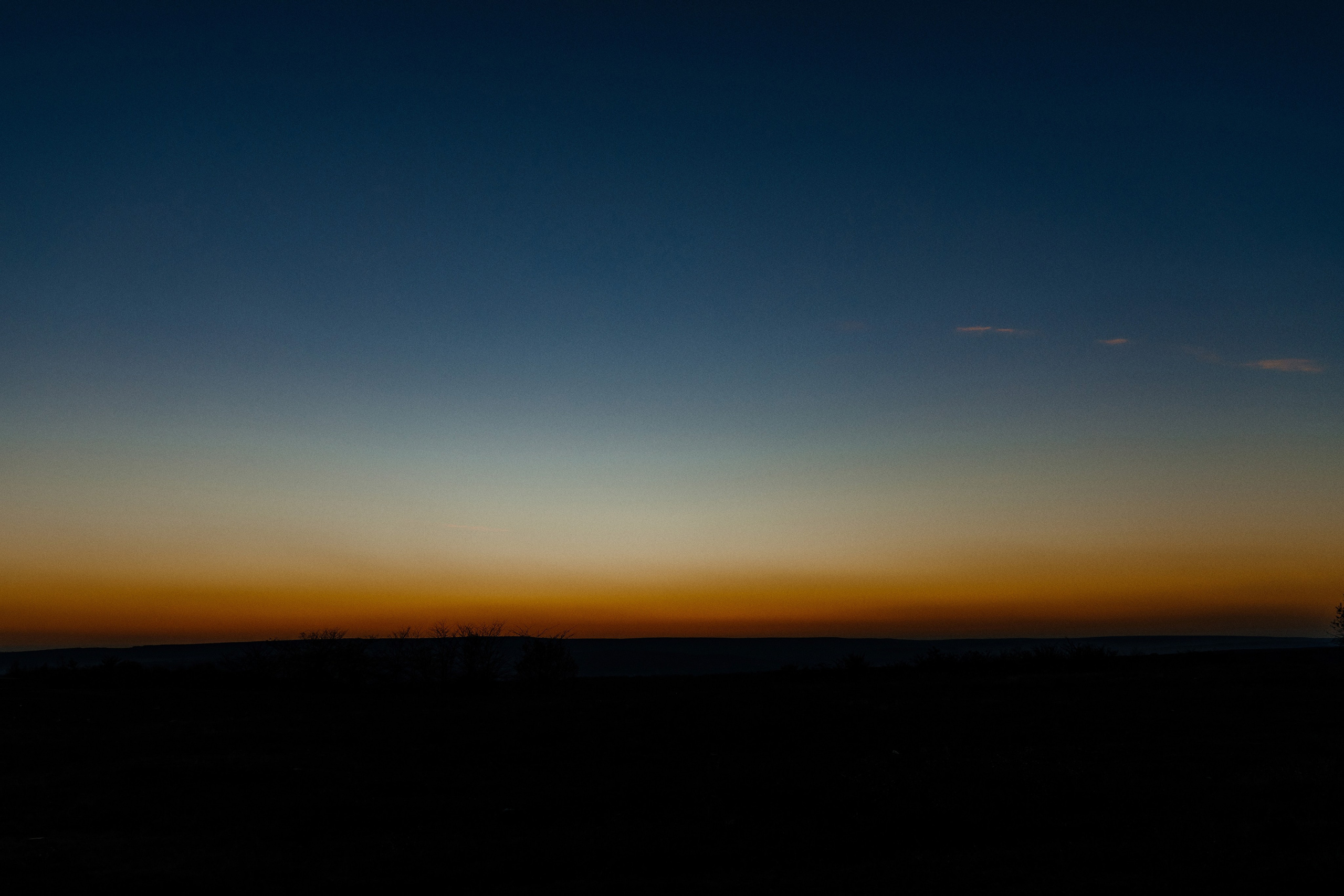 MIHAELA + ANDREI. Fulga Photographer