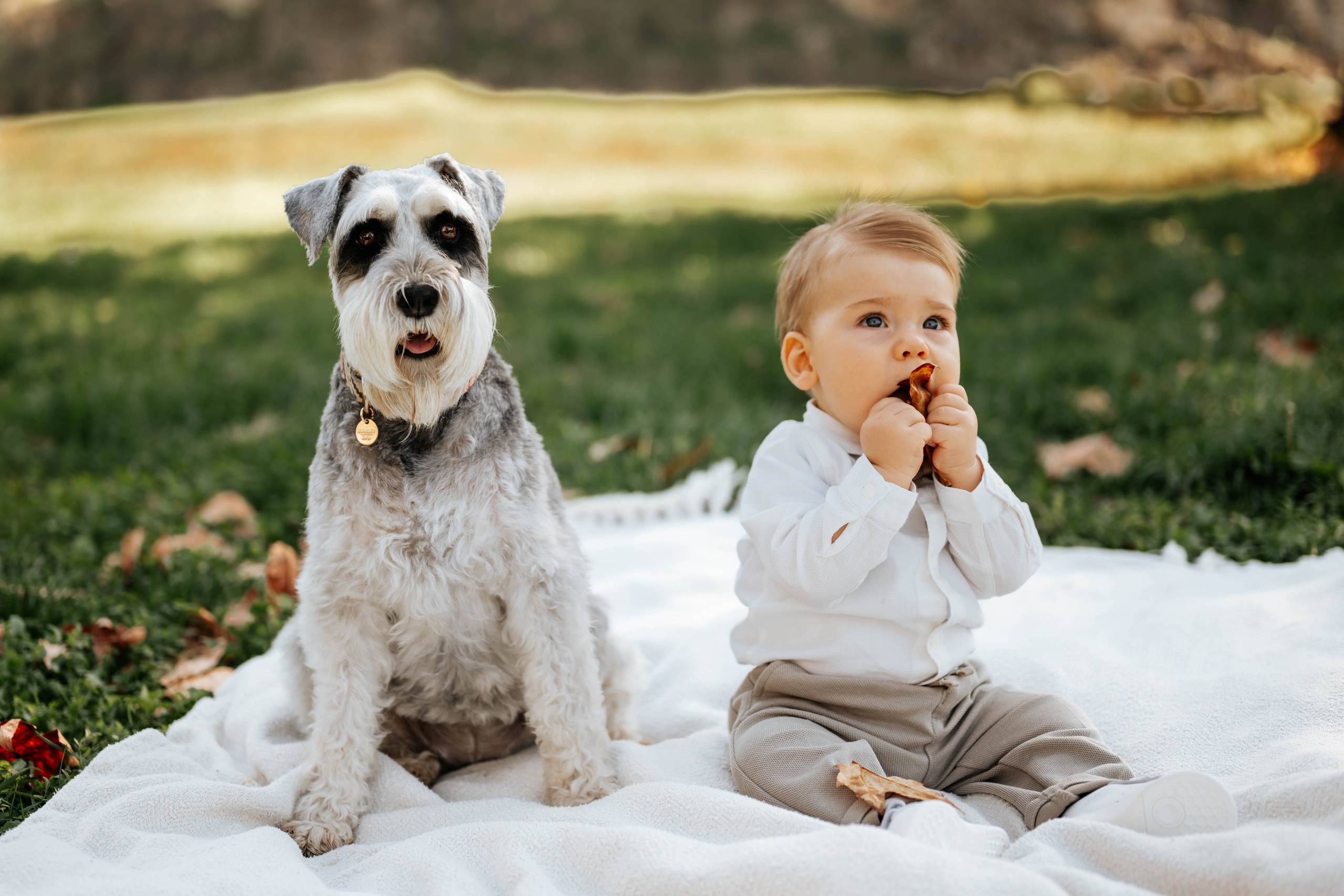 Jug - krštenje. Dečiji i porodični fotograf