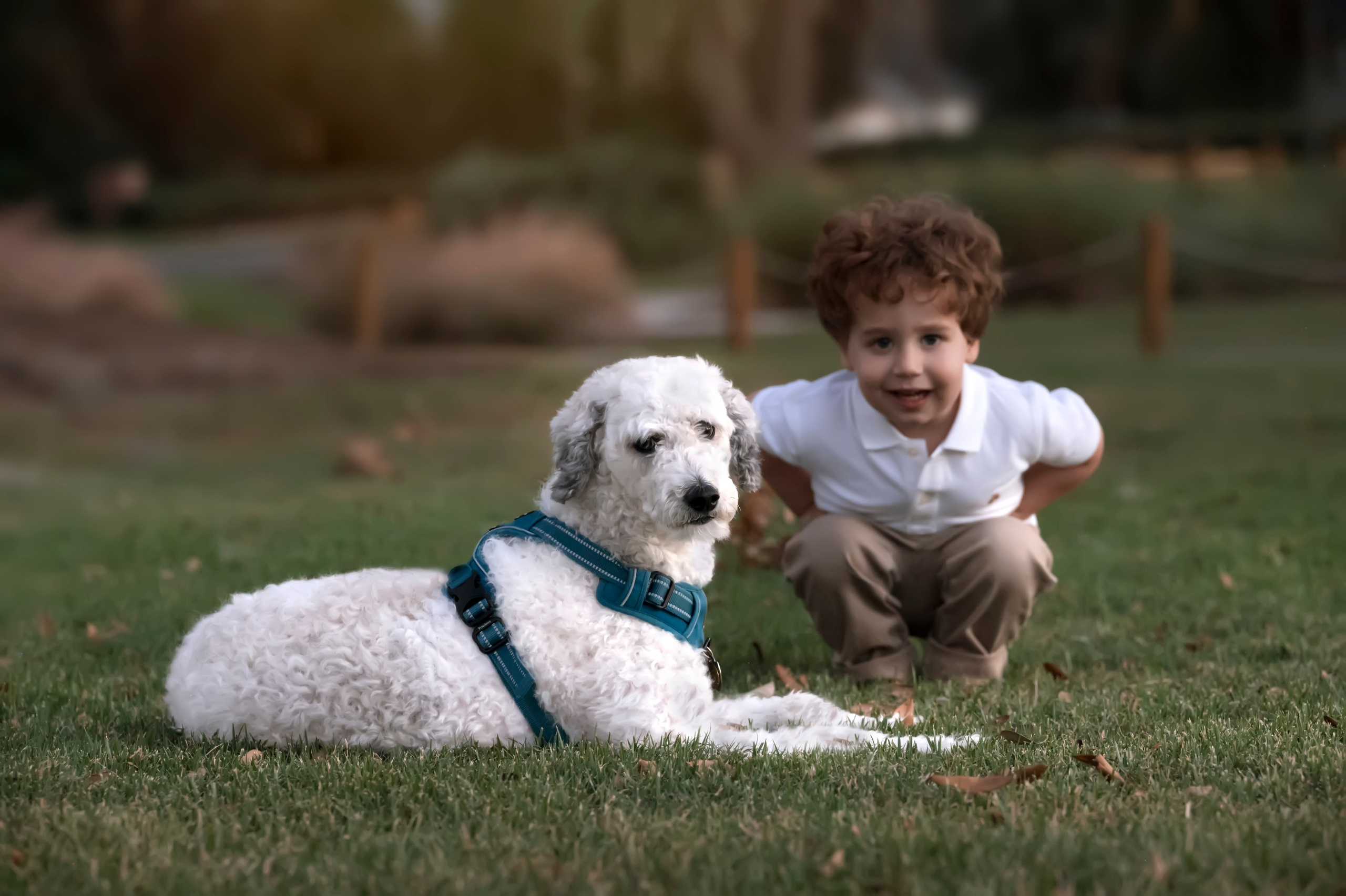 Family session outside. Portrait, kids and family photographer in Wesley Chapel Alina Alice Osipova