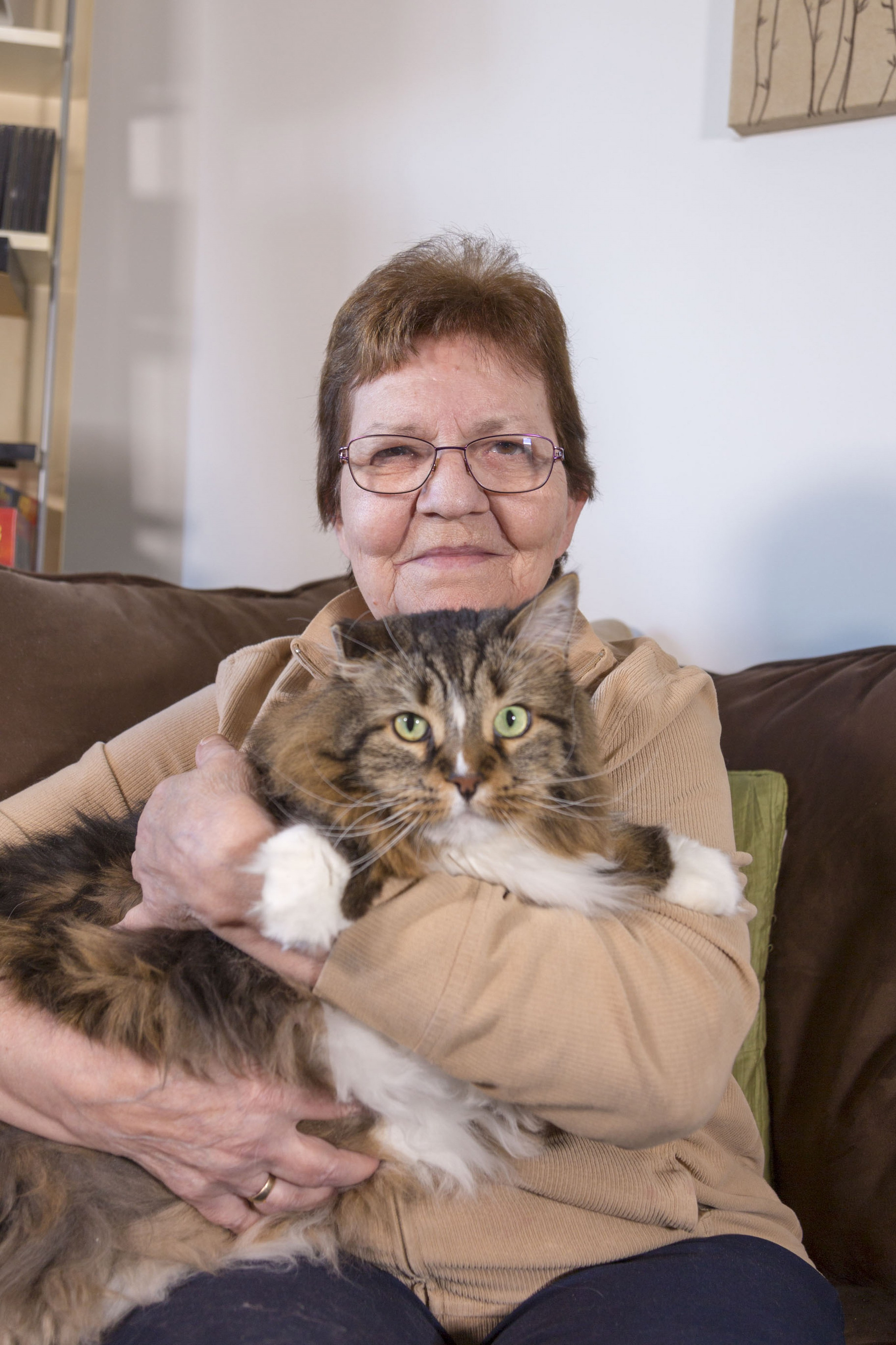 Animal de Compagnie. Studioplaza8