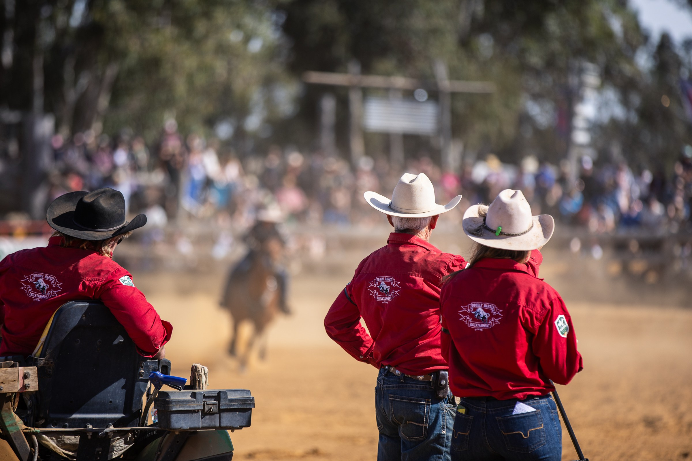 Selection of photos from different rodeos