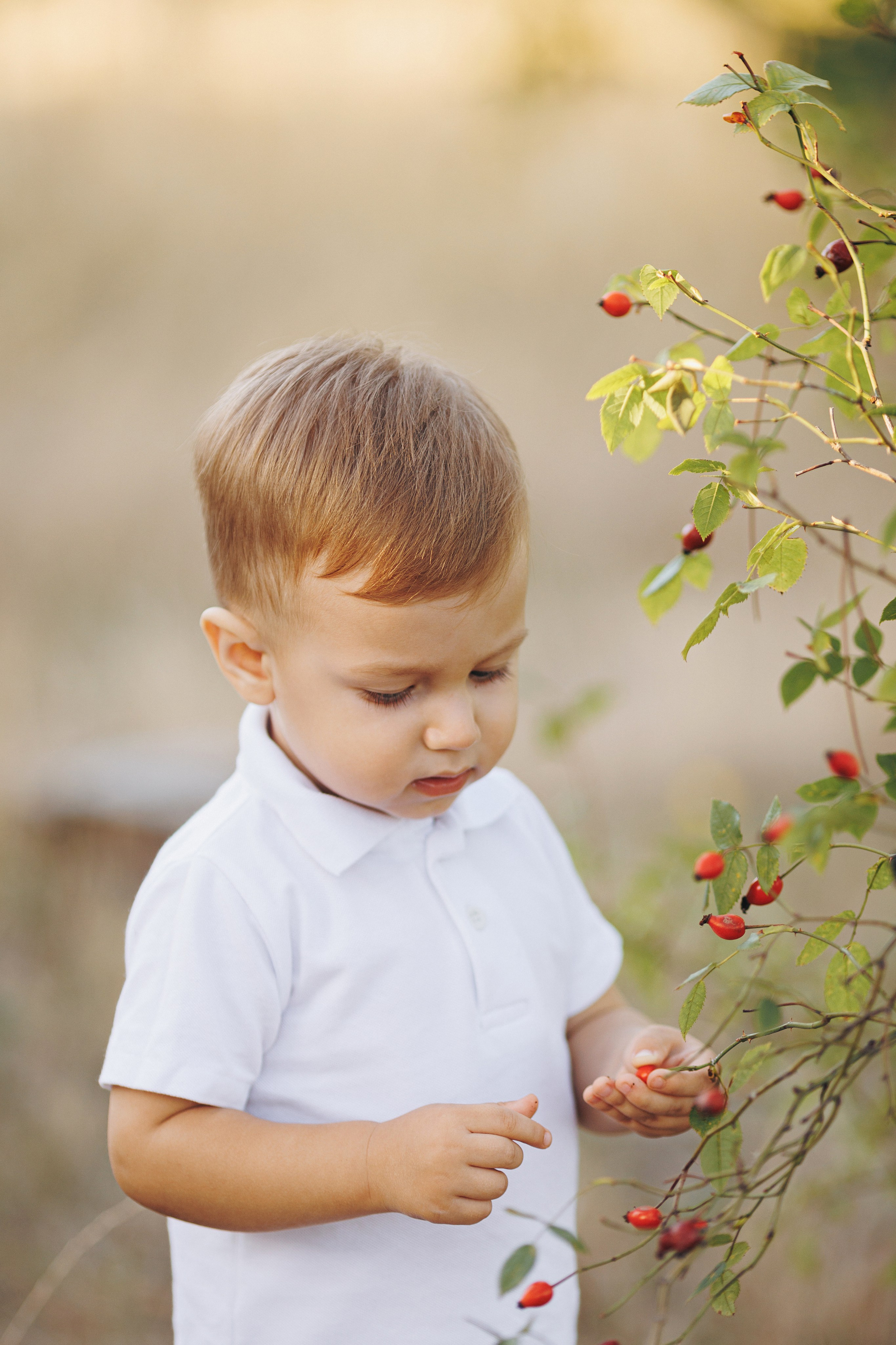 Матвей. Семейный фотограф в Кишинёве Пулькина Ольга
