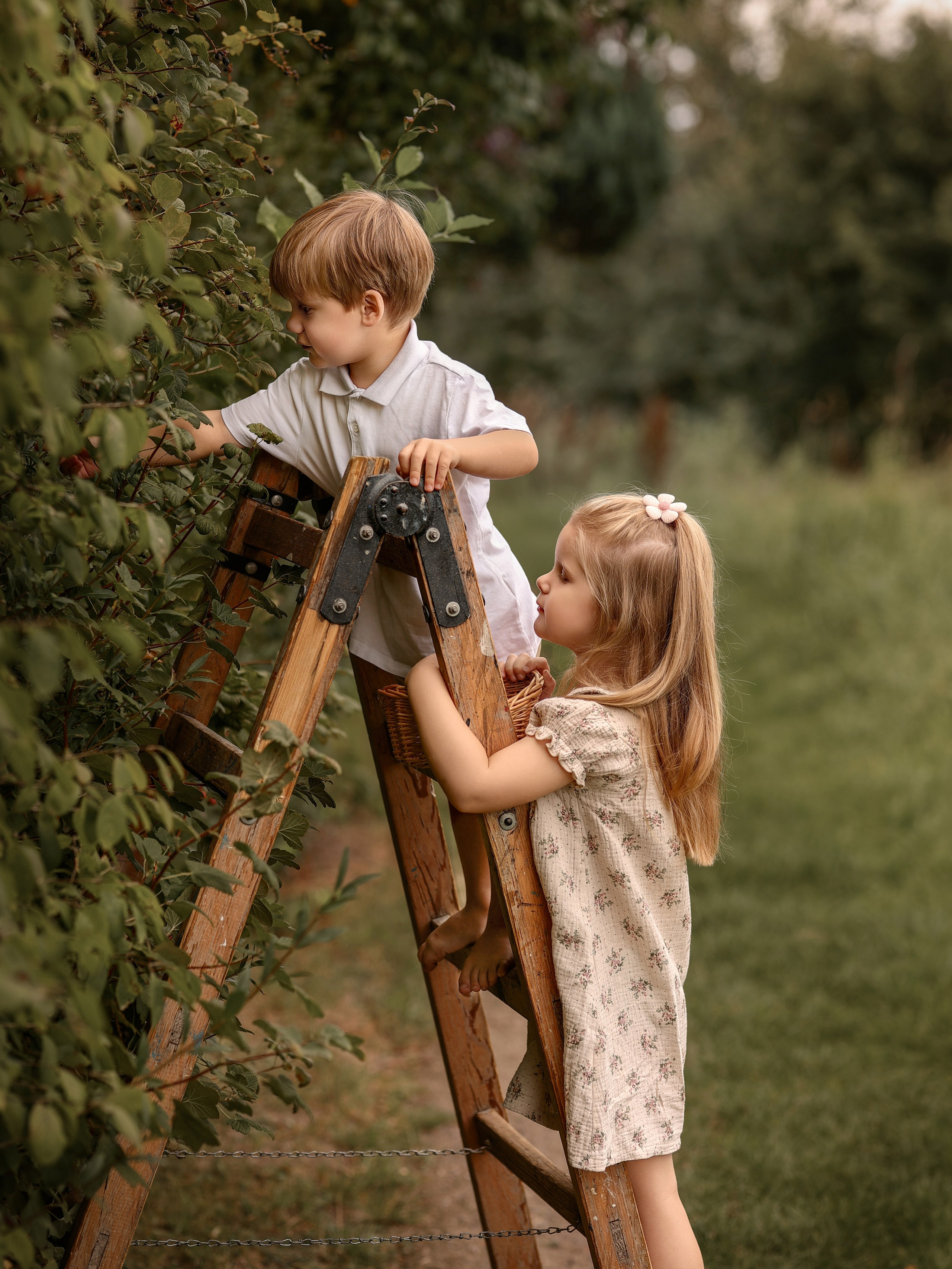 Kinderfotografie Kinderfotograf Norden Aurich Emden. Familien- Fotografin in Marienhafe, Aurich, Emden, Norden, Leer