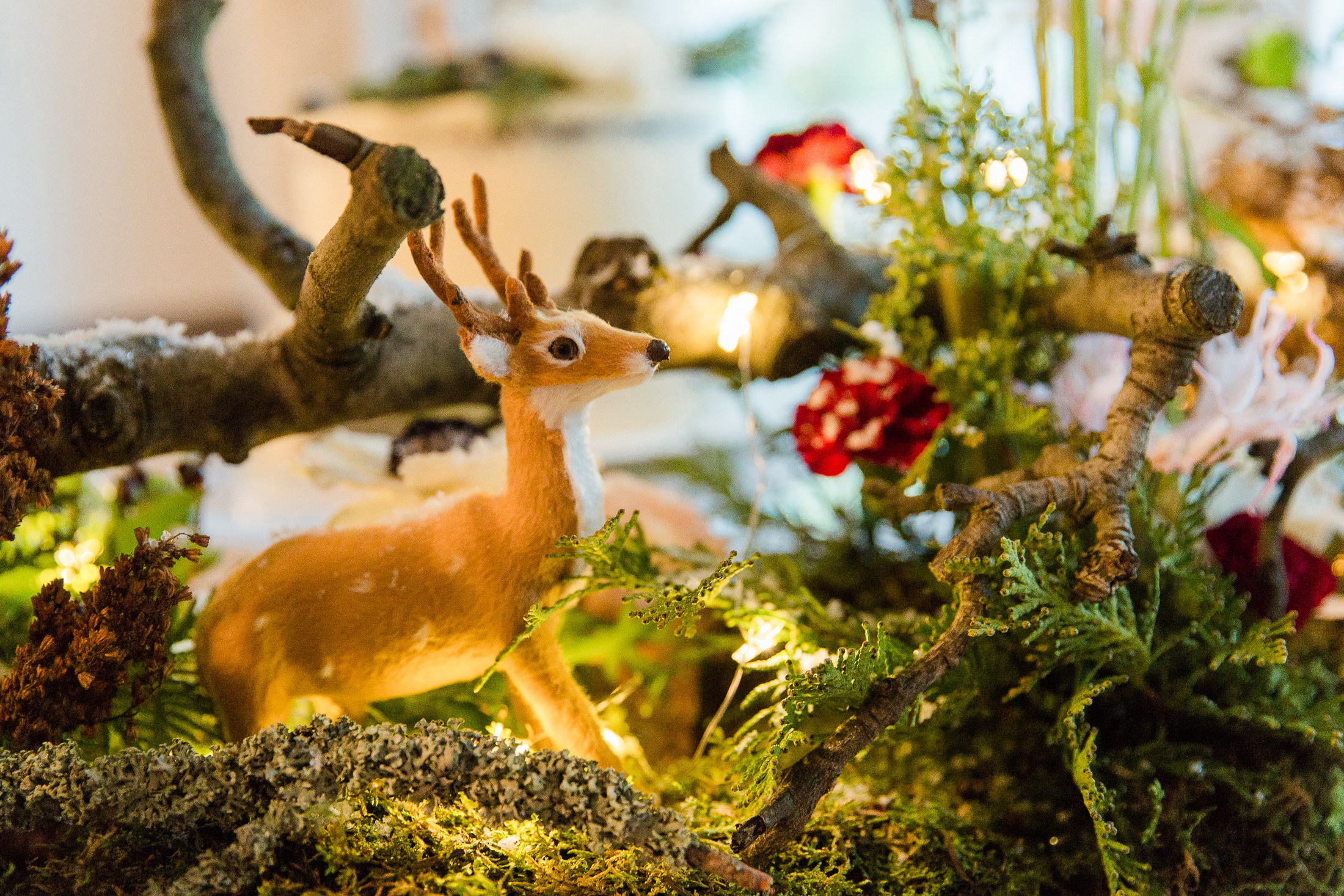 Hääsunnittelijan brändikuvat