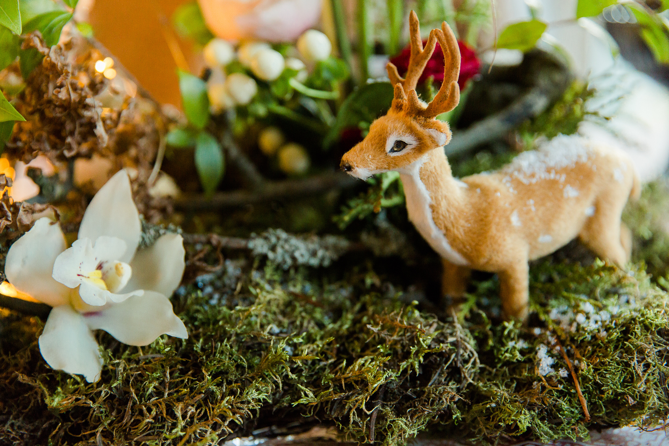 Hääsunnittelijan brändikuvat