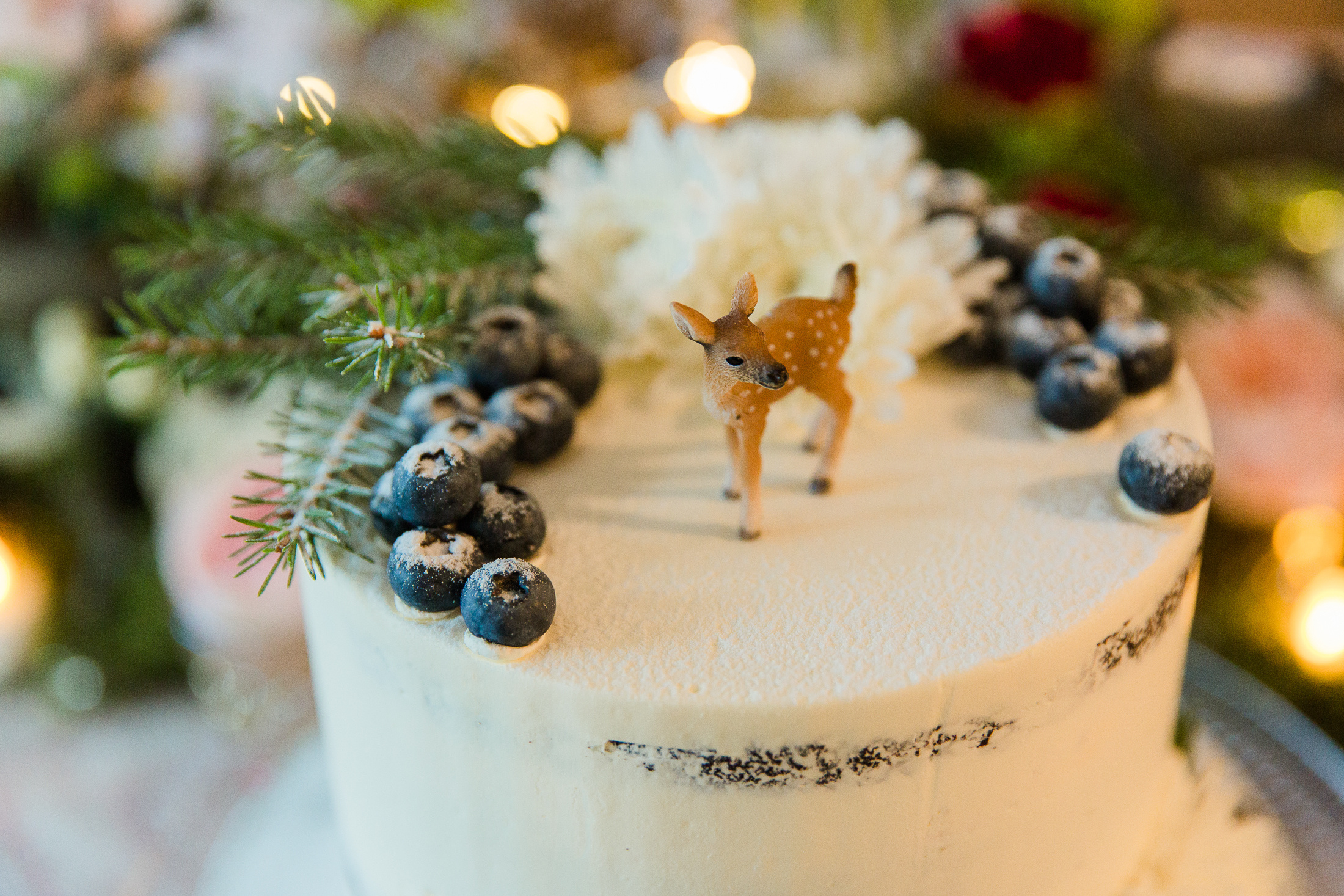 Hääsunnittelijan brändikuvat