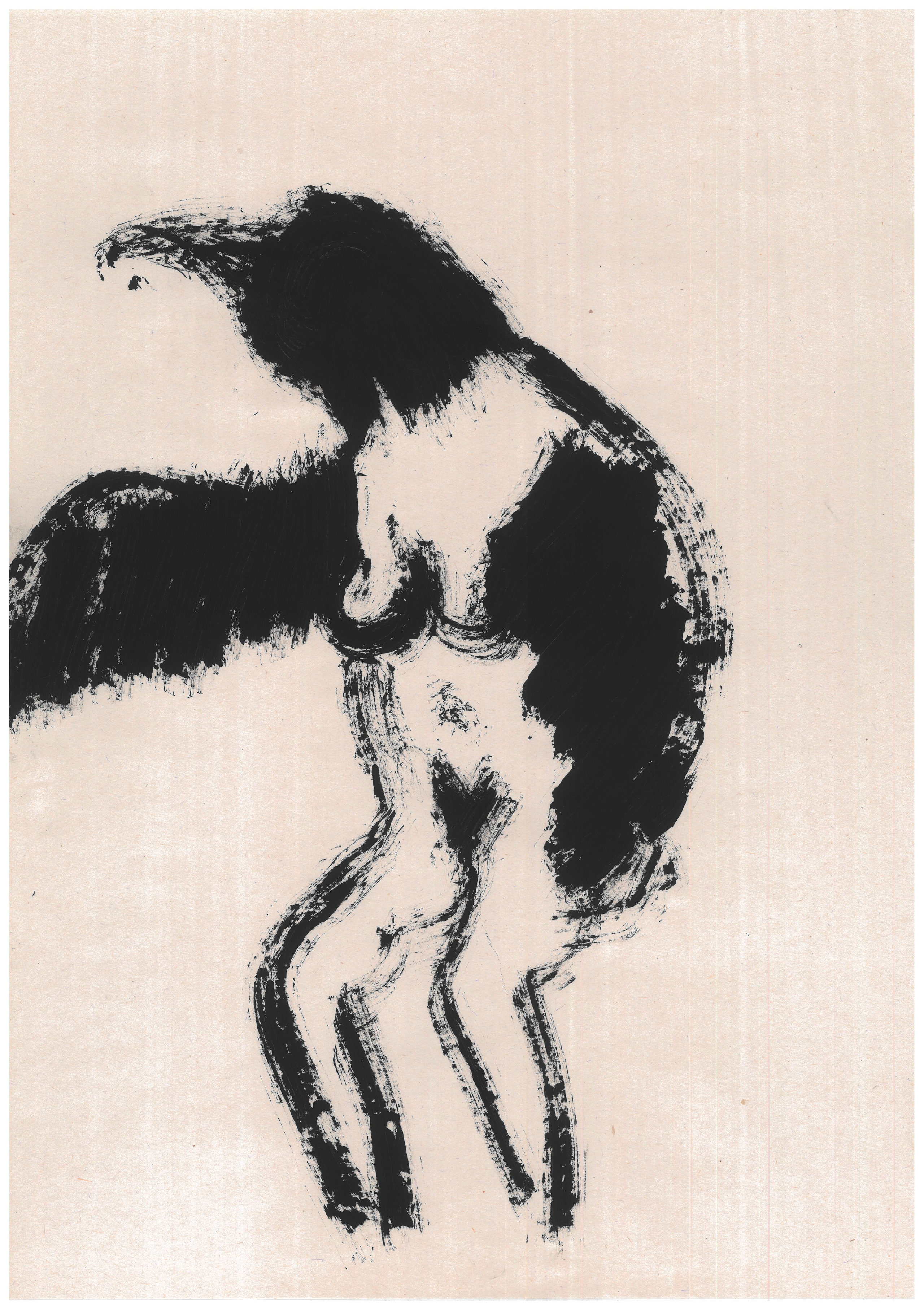 Dancing bird 2022. Haim Sokol’s artists website