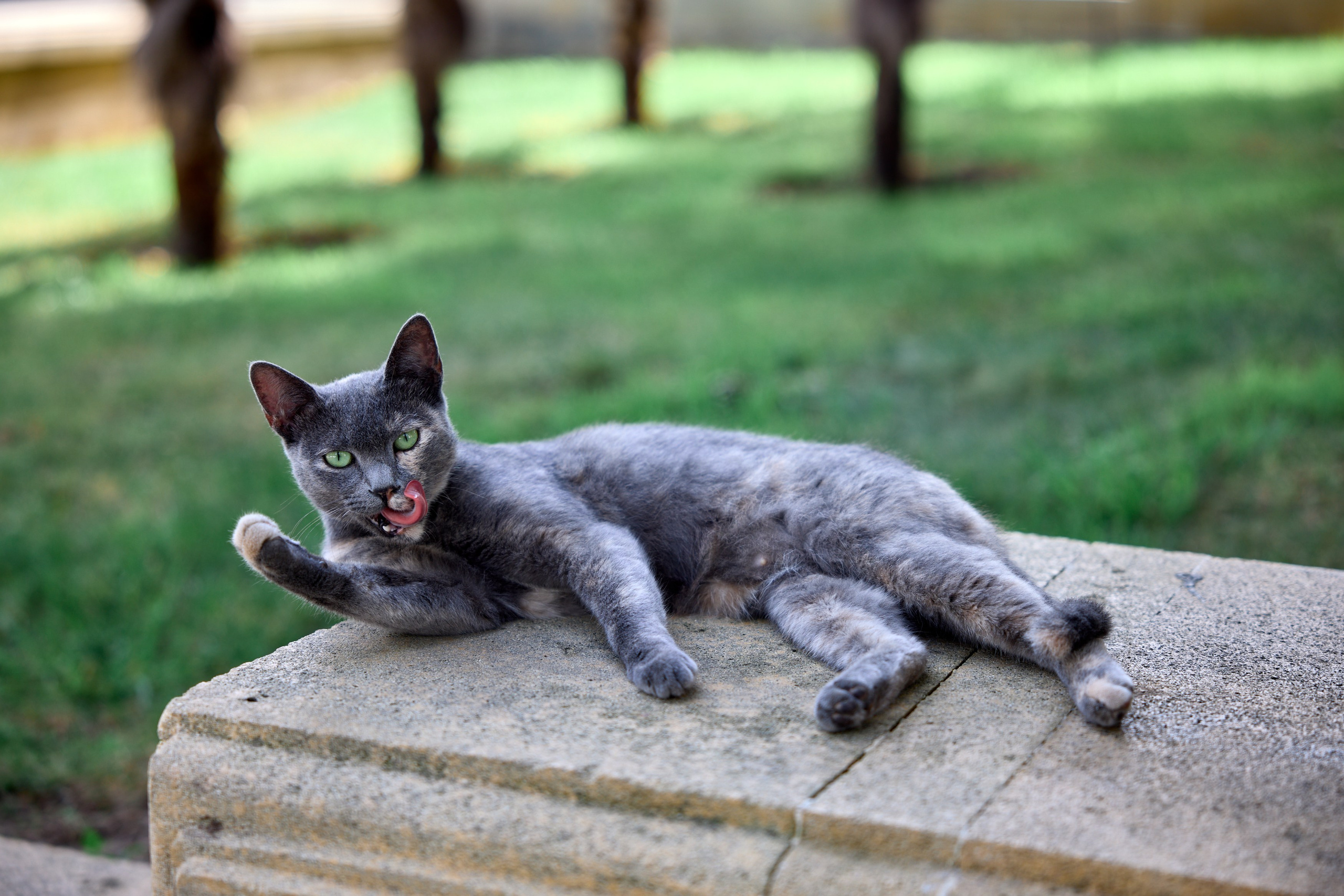 Экскурсия по Баку. День 2. Photographer in Baku Kamran Enceladus