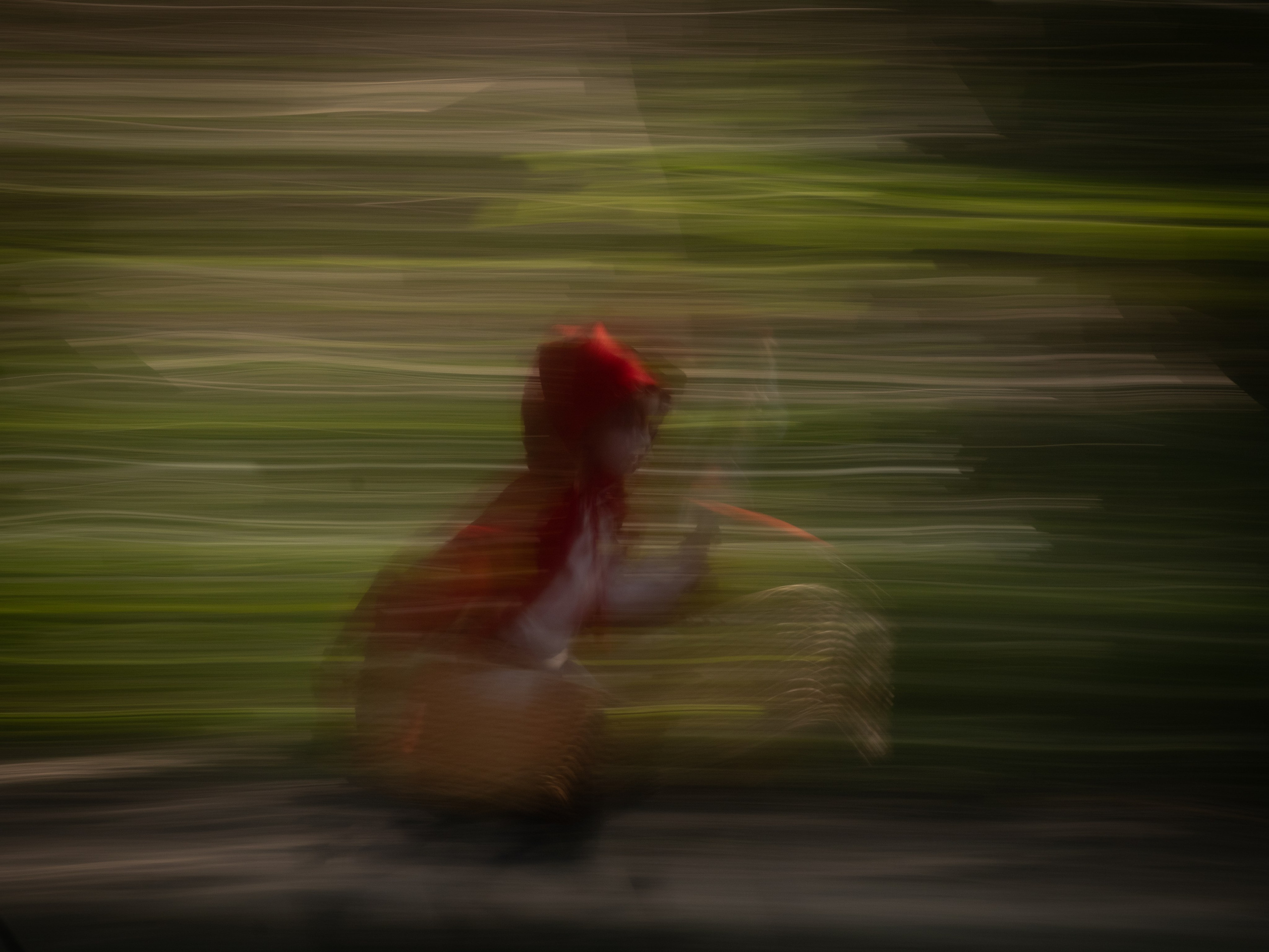 New Little Red Riding Hood. Toronto Portrait Photographer Lena Lac