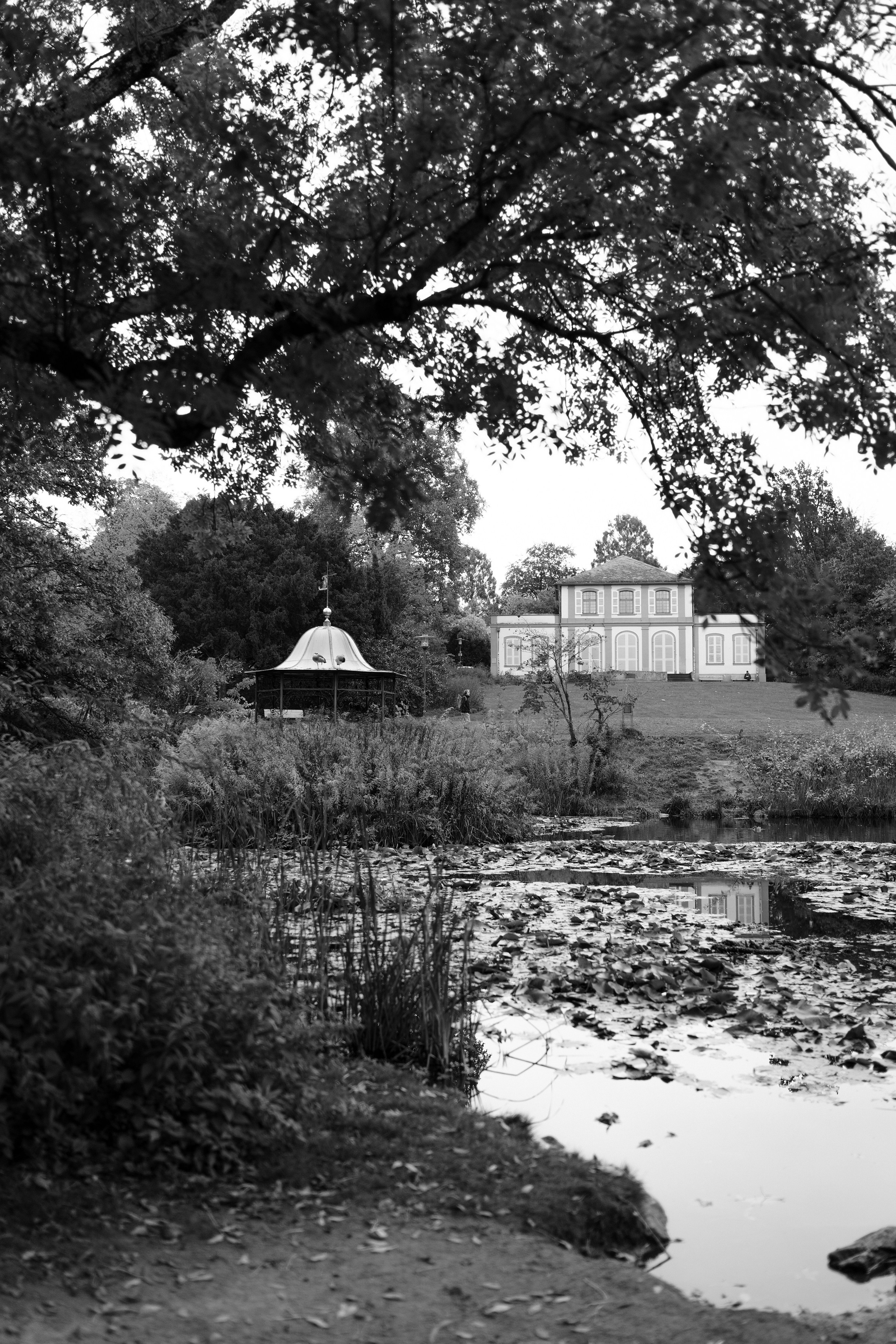 Алина 40. Frenkel Nadja Fotograf in Darmstadt|Frankfurt|Wiesbaden